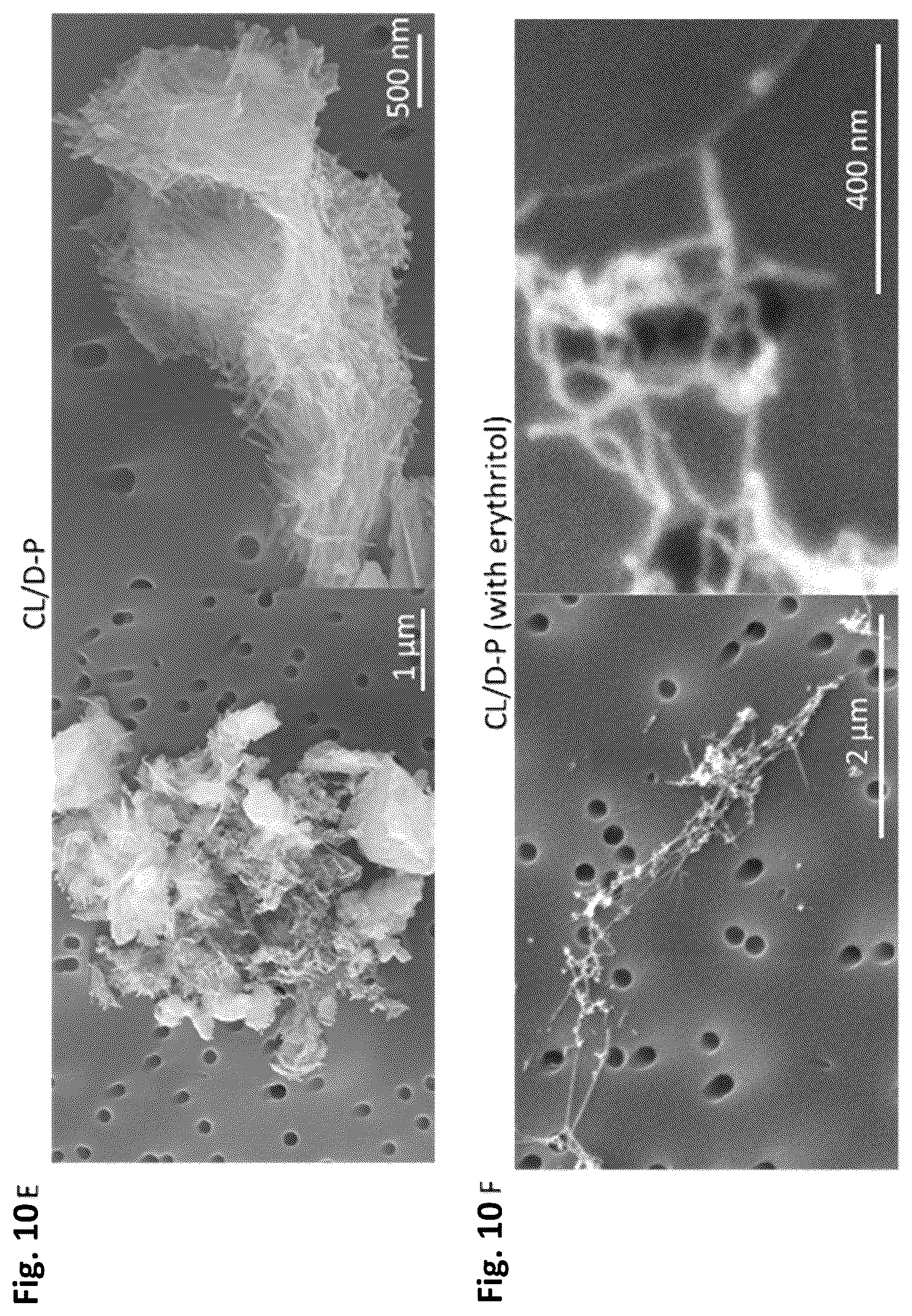 Patent US12351805 Figure 16 – Method of making recombinant silk and silk-amyloid hybrid proteins using bacteria