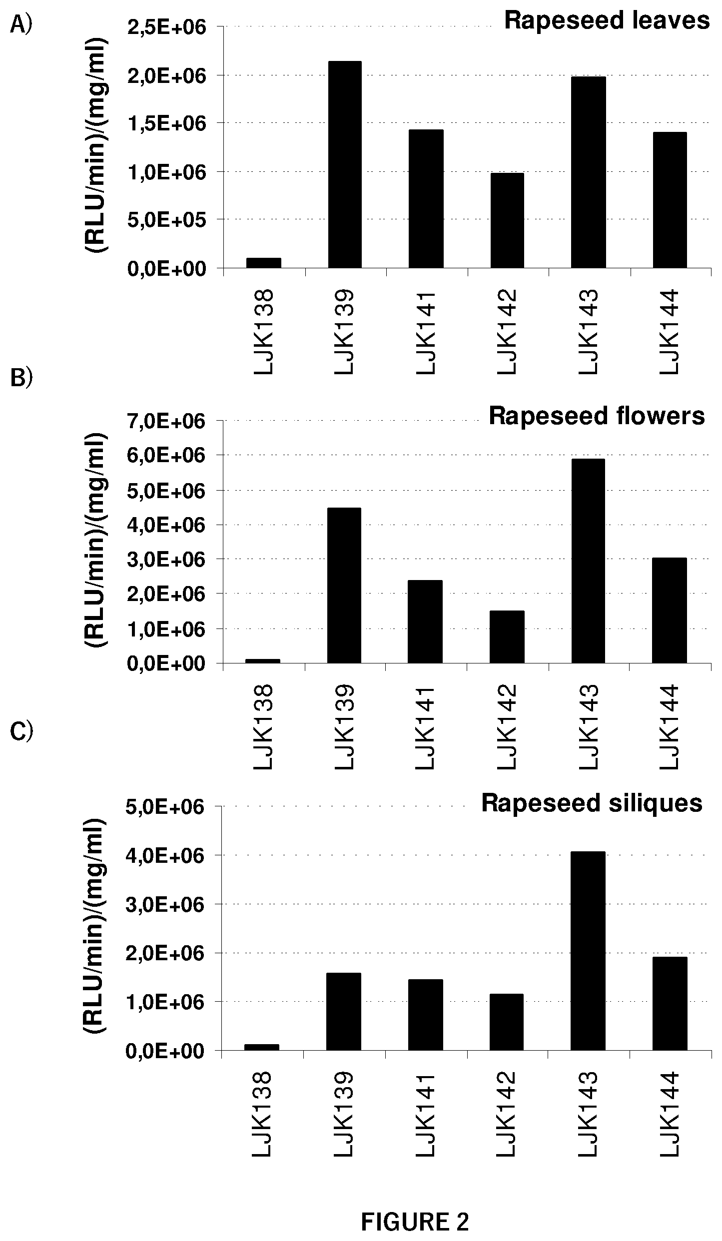 Patent US12351807 Figure 2 – Regulatory nucleic acid molecules for enhancing constitutive gene expression in plants