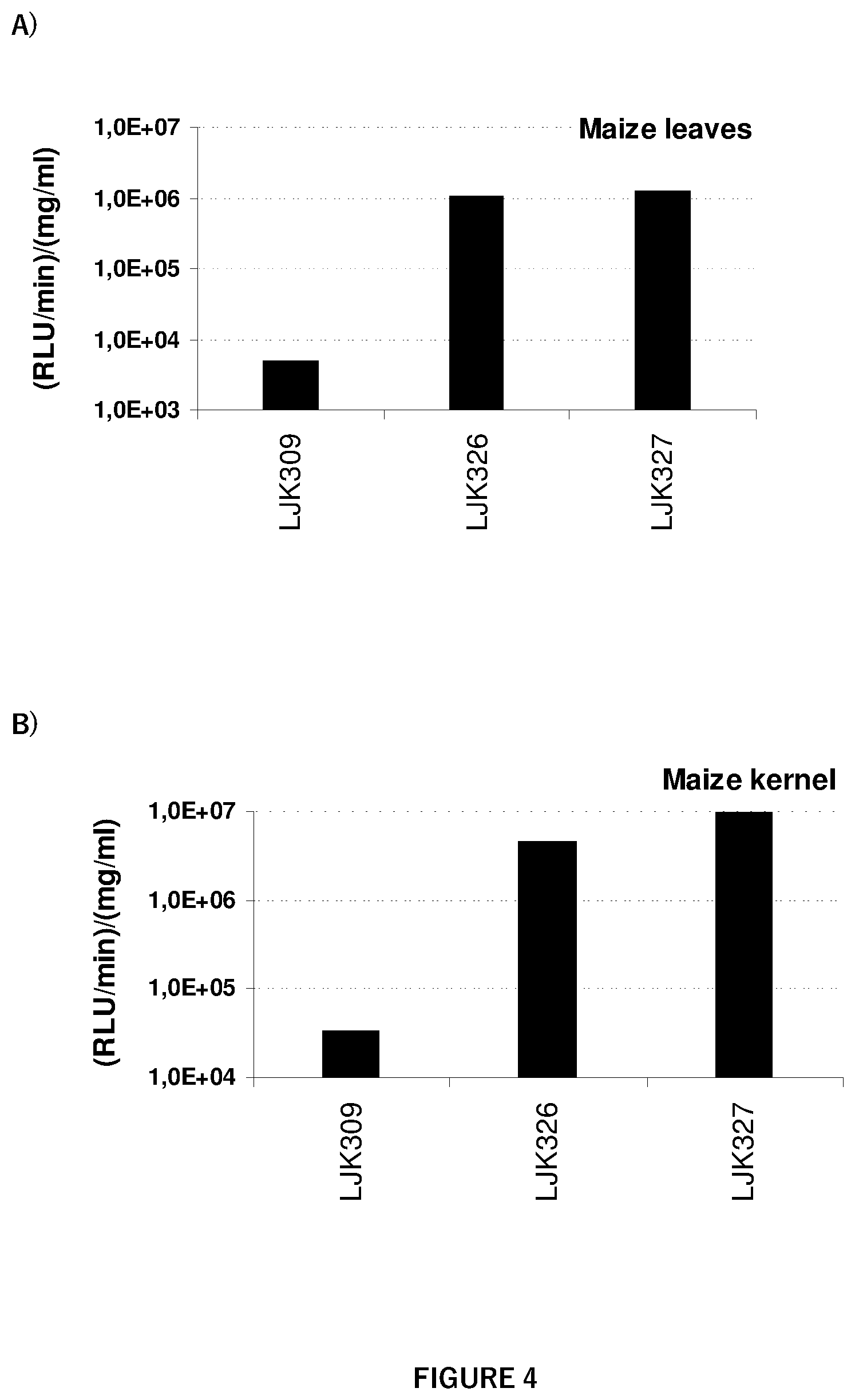 Patent US12351807 Figure 4 – Regulatory nucleic acid molecules for enhancing constitutive gene expression in plants