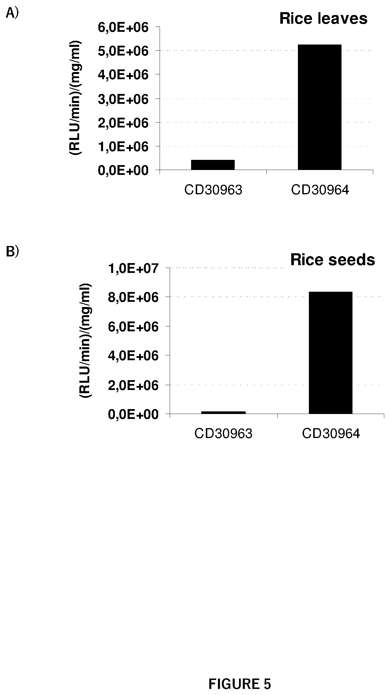 Patent US12351807 Figure 5 – Regulatory nucleic acid molecules for enhancing constitutive gene expression in plants