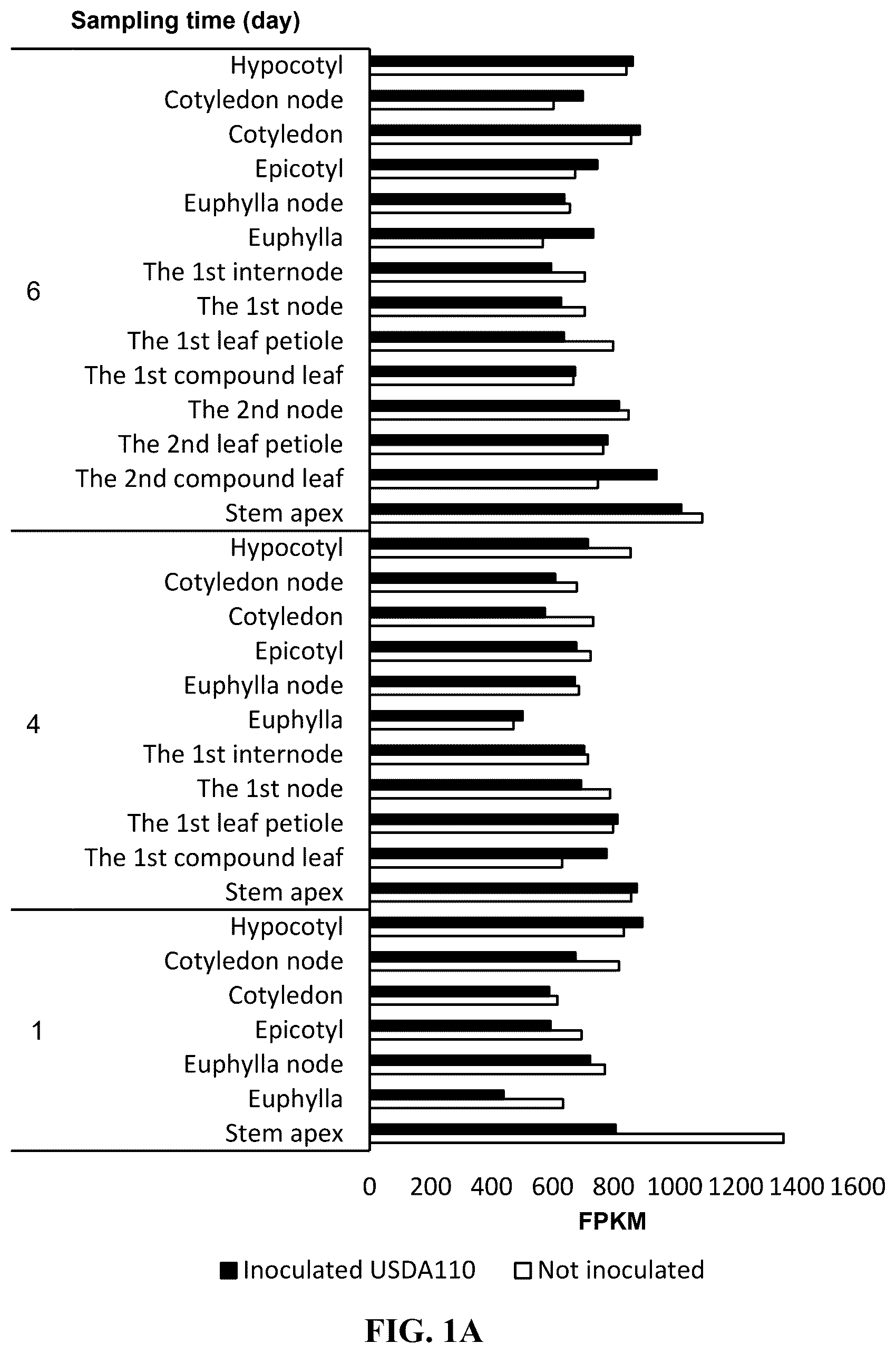 Patent US12351808 Figure 1 – Method for promoting expression of foreign gene in soybean, Arabidopsis or tobacco using gene promoter PRPS28 or PRPS28-1