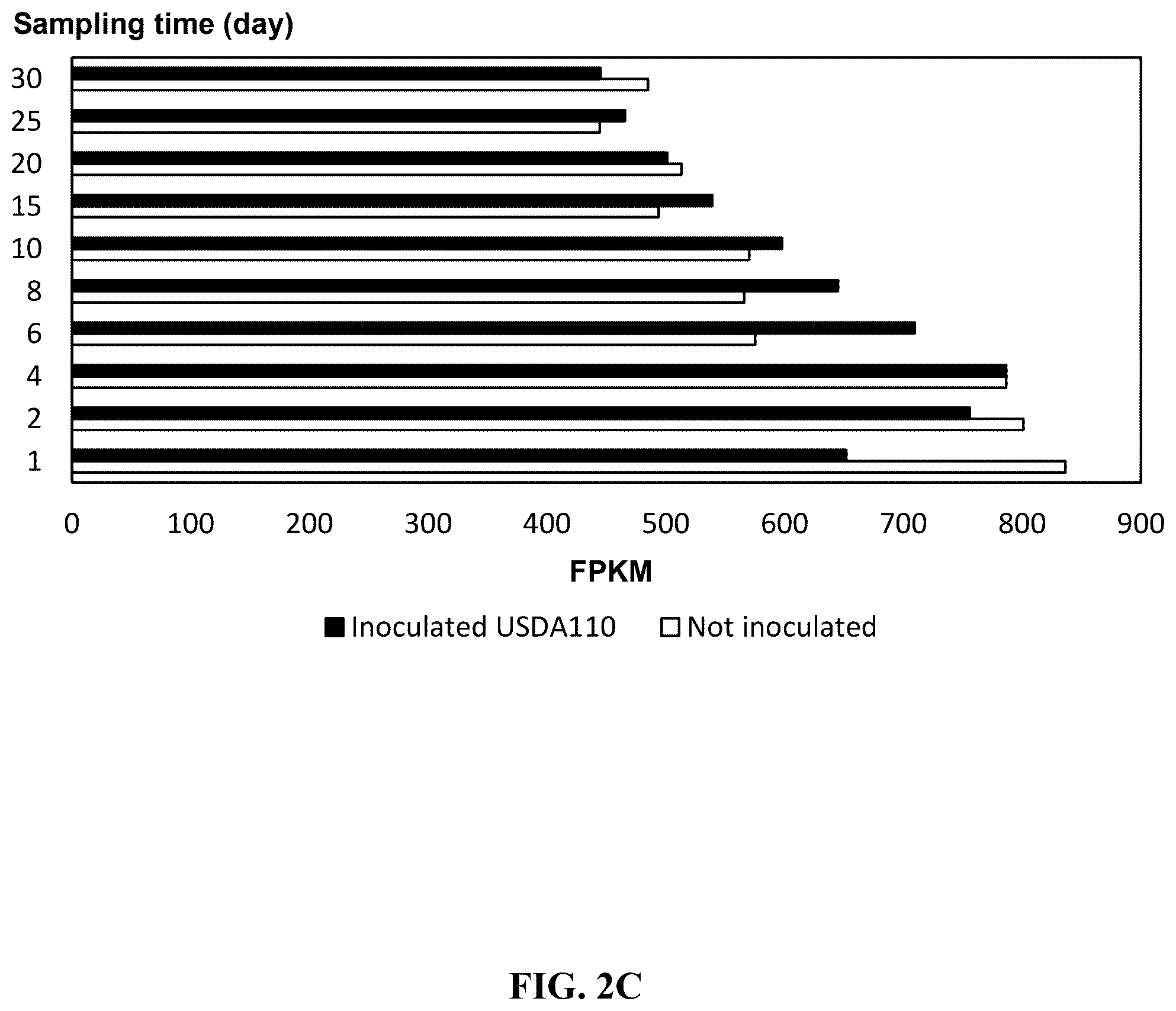 Patent US12351808 Figure 6 – Method for promoting expression of foreign gene in soybean, Arabidopsis or tobacco using gene promoter PRPS28 or PRPS28-1