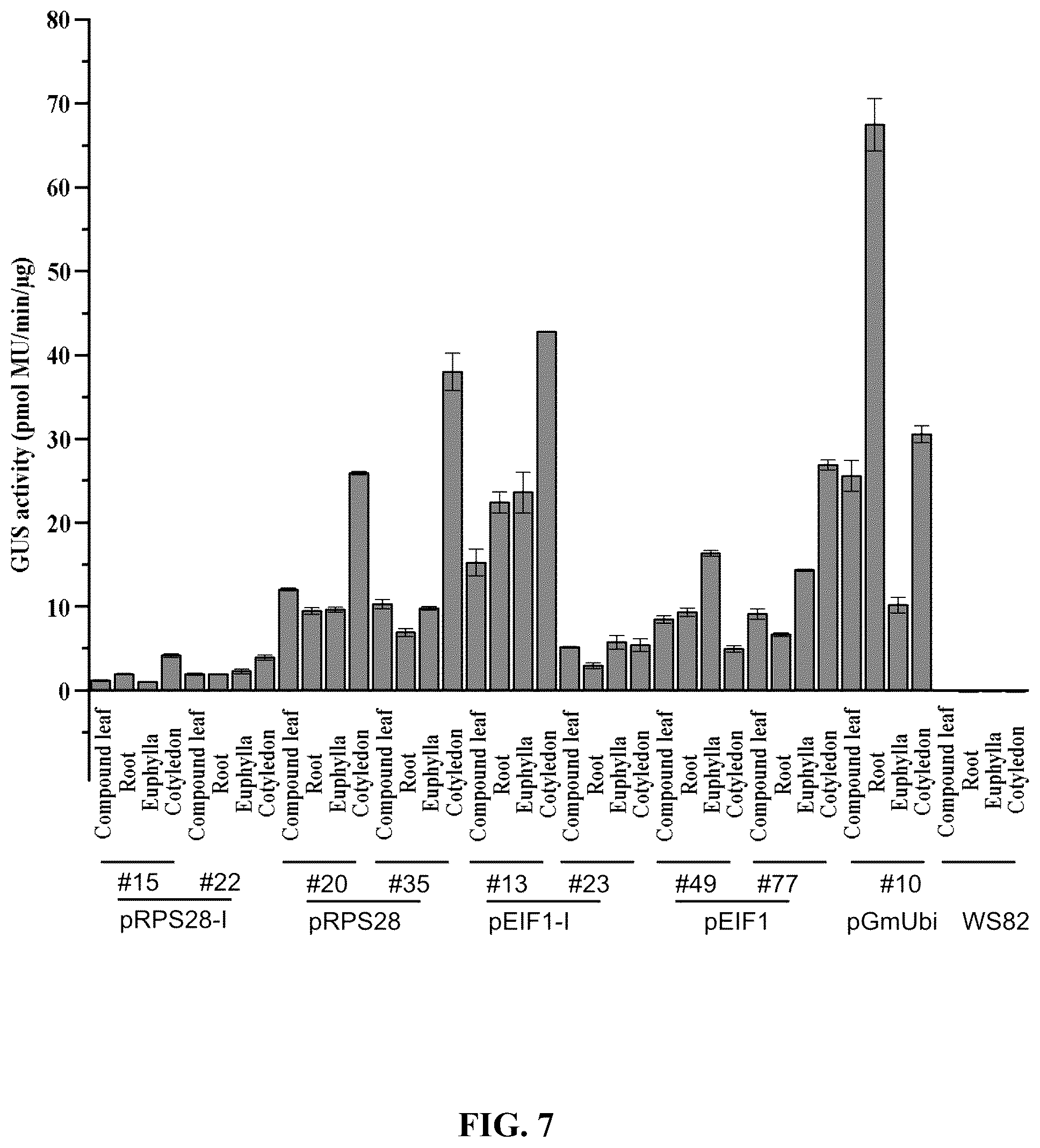 Patent US12351808 Figure 17 – Method for promoting expression of foreign gene in soybean, Arabidopsis or tobacco using gene promoter PRPS28 or PRPS28-1