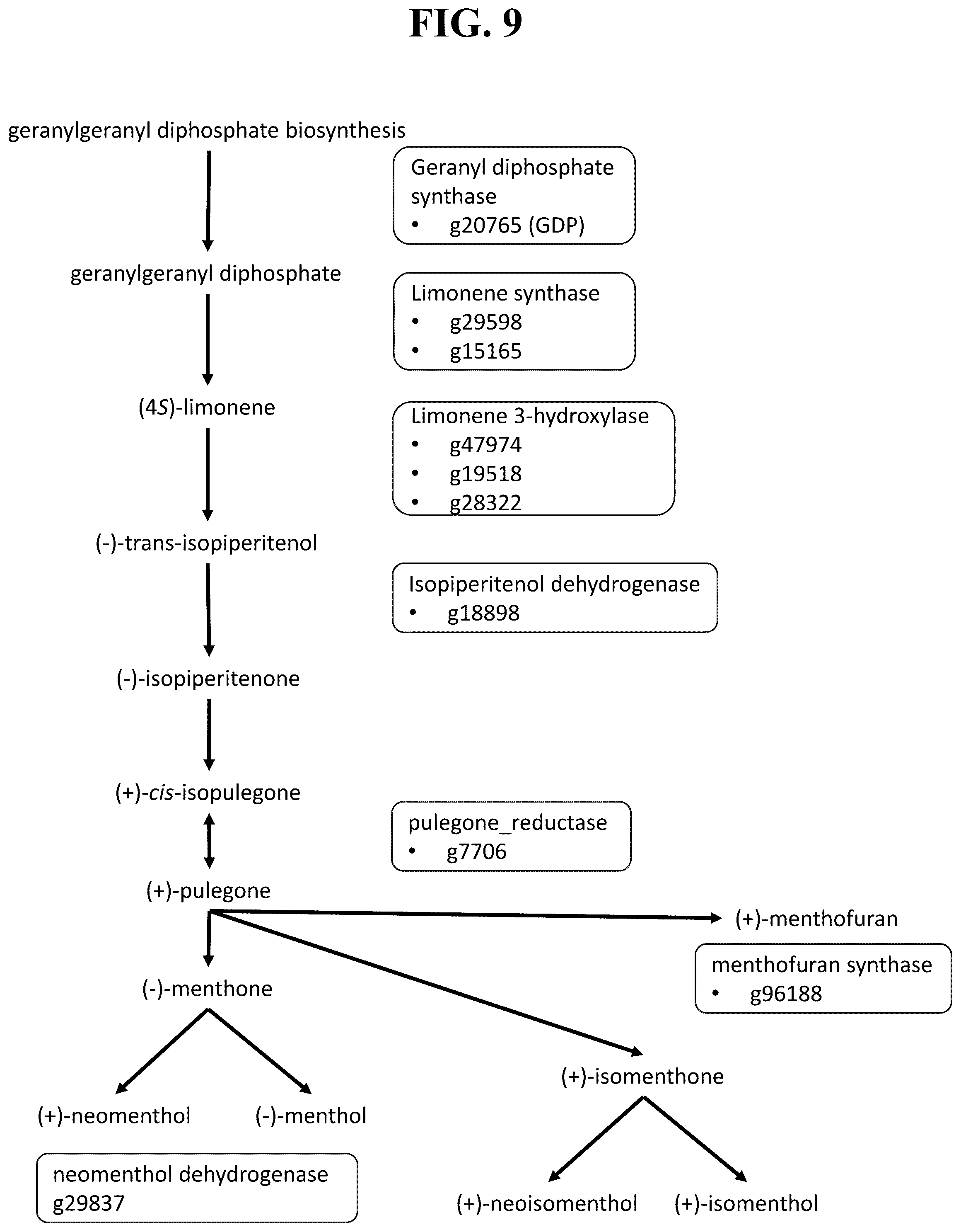 Patent US12351809 Figure 6 – Tissue-specific promoters in plants