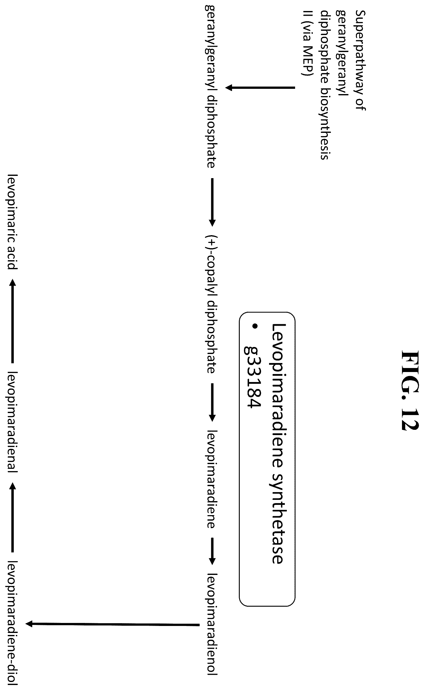 Patent US12351809 Figure 9 – Tissue-specific promoters in plants