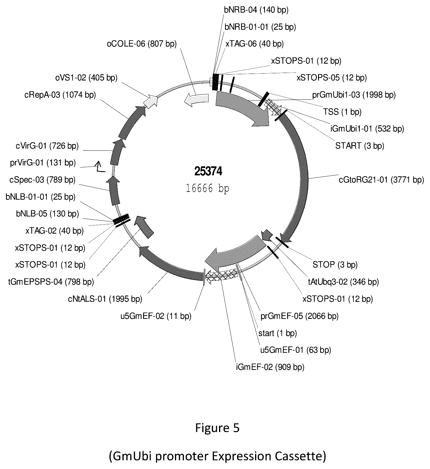Patent US12351810 Figure 5 – Resistance genes associated with disease resistance in soybeans