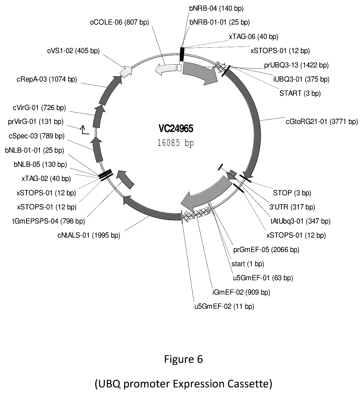 Patent US12351810 Figure 6 – Resistance genes associated with disease resistance in soybeans