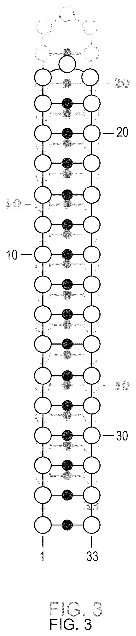 Patent US12351811 Figure 3 – Method for modifying plants with a recombinant RNA molecule