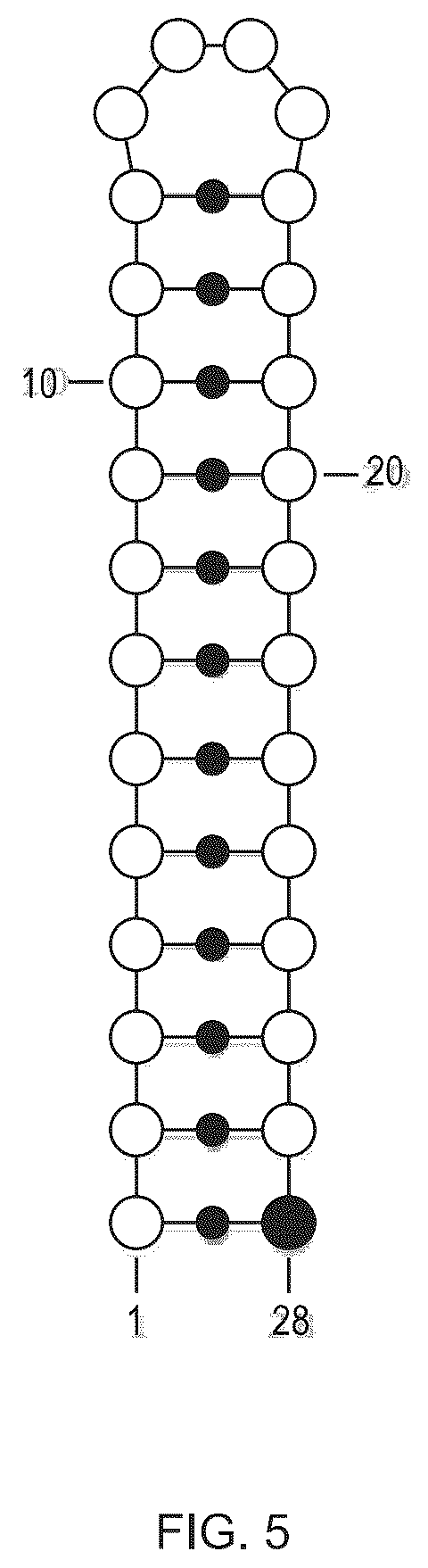 Patent US12351811 Figure 5 – Method for modifying plants with a recombinant RNA molecule