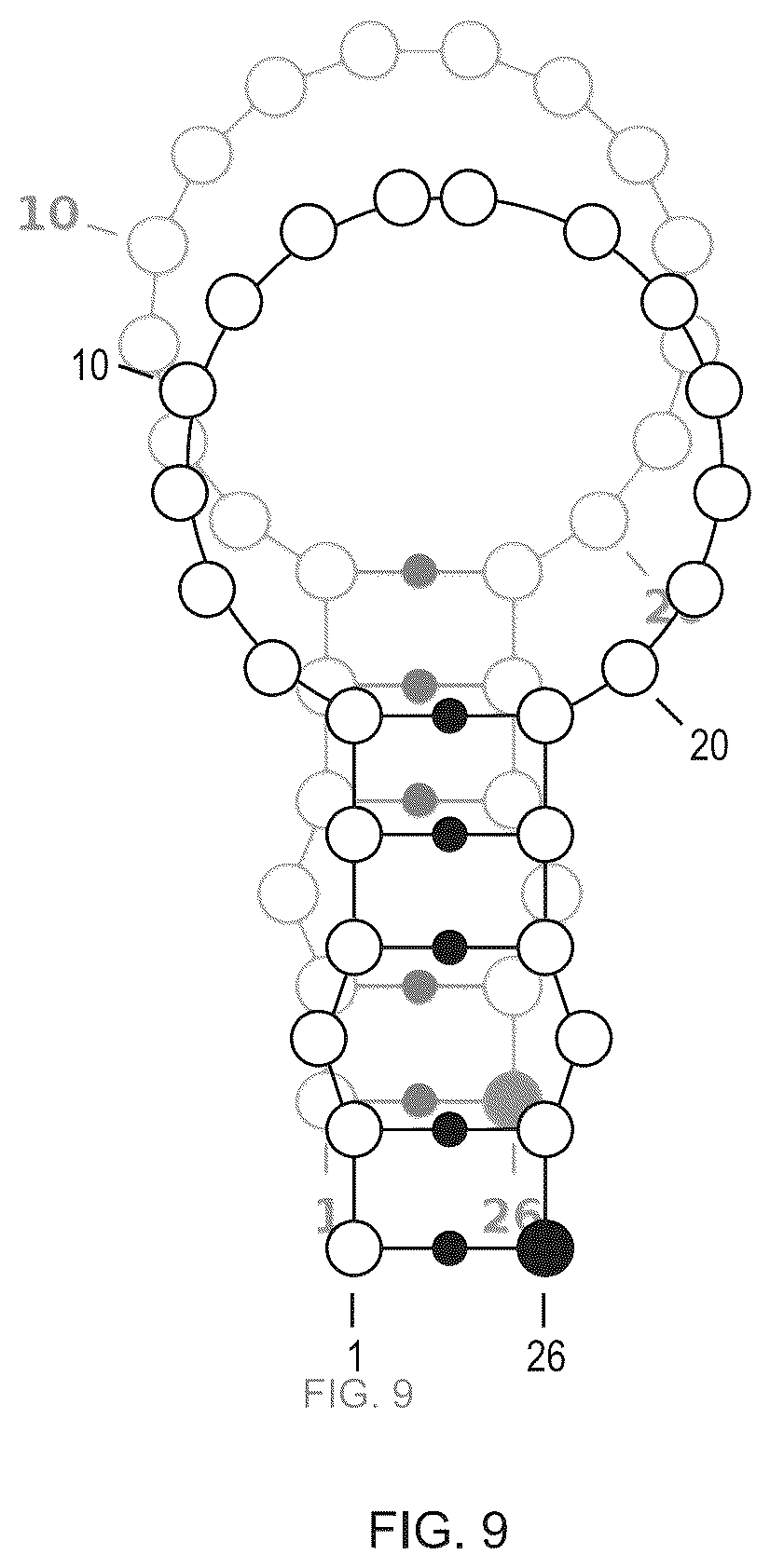 Patent US12351811 Figure 9 – Method for modifying plants with a recombinant RNA molecule