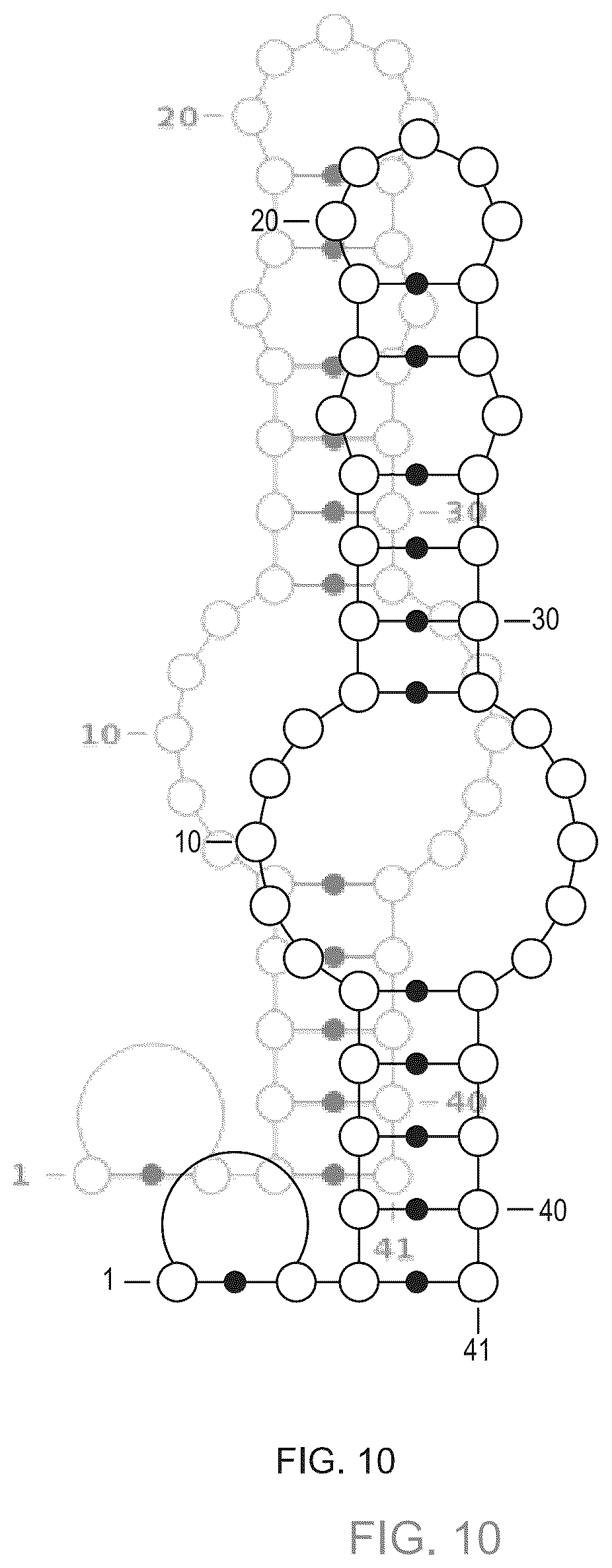 Patent US12351811 Figure 10 – Method for modifying plants with a recombinant RNA molecule