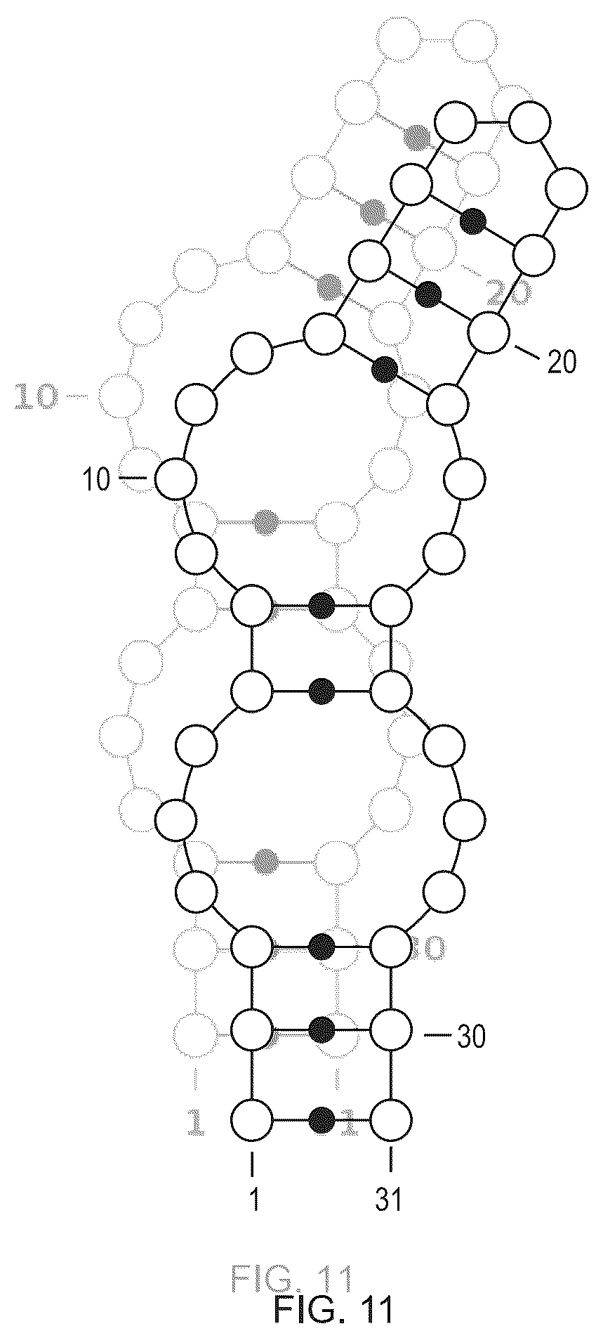 Patent US12351811 Figure 11 – Method for modifying plants with a recombinant RNA molecule