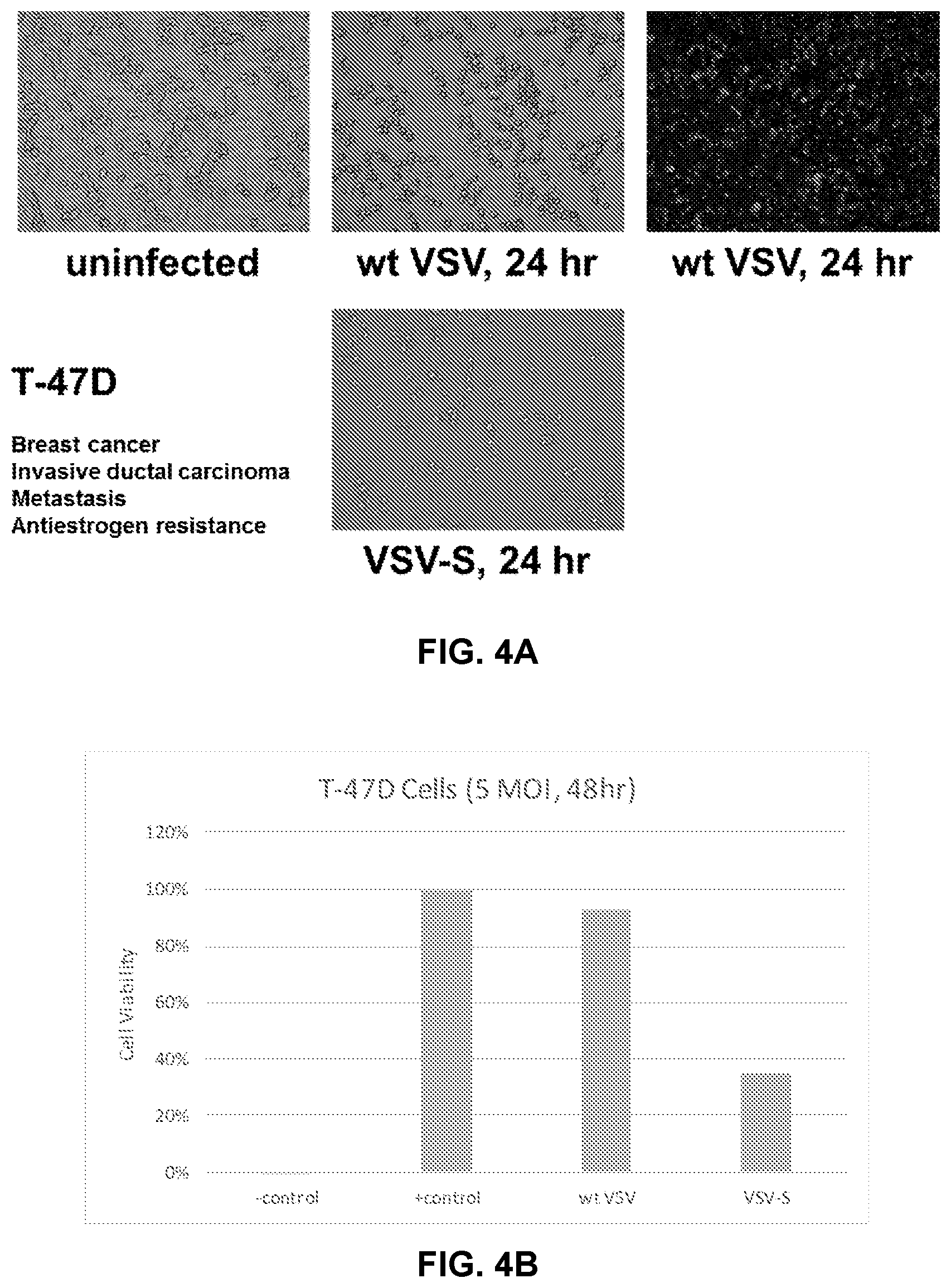 Patent US12351812 Figure 4 – Recombinant oncolytic virus