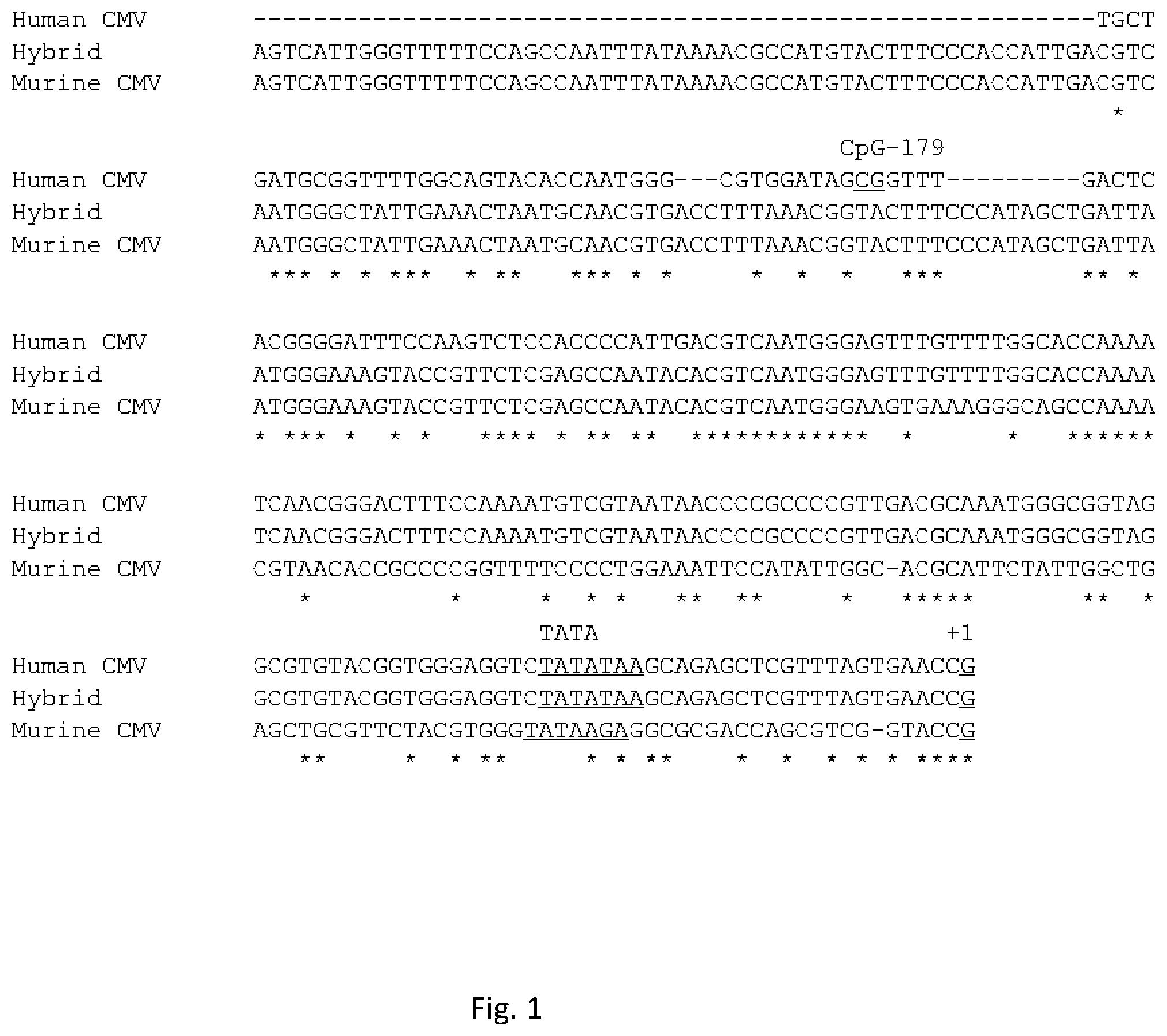 Patent US12351813 Figure 1 – Tetracycline-inducible expression system