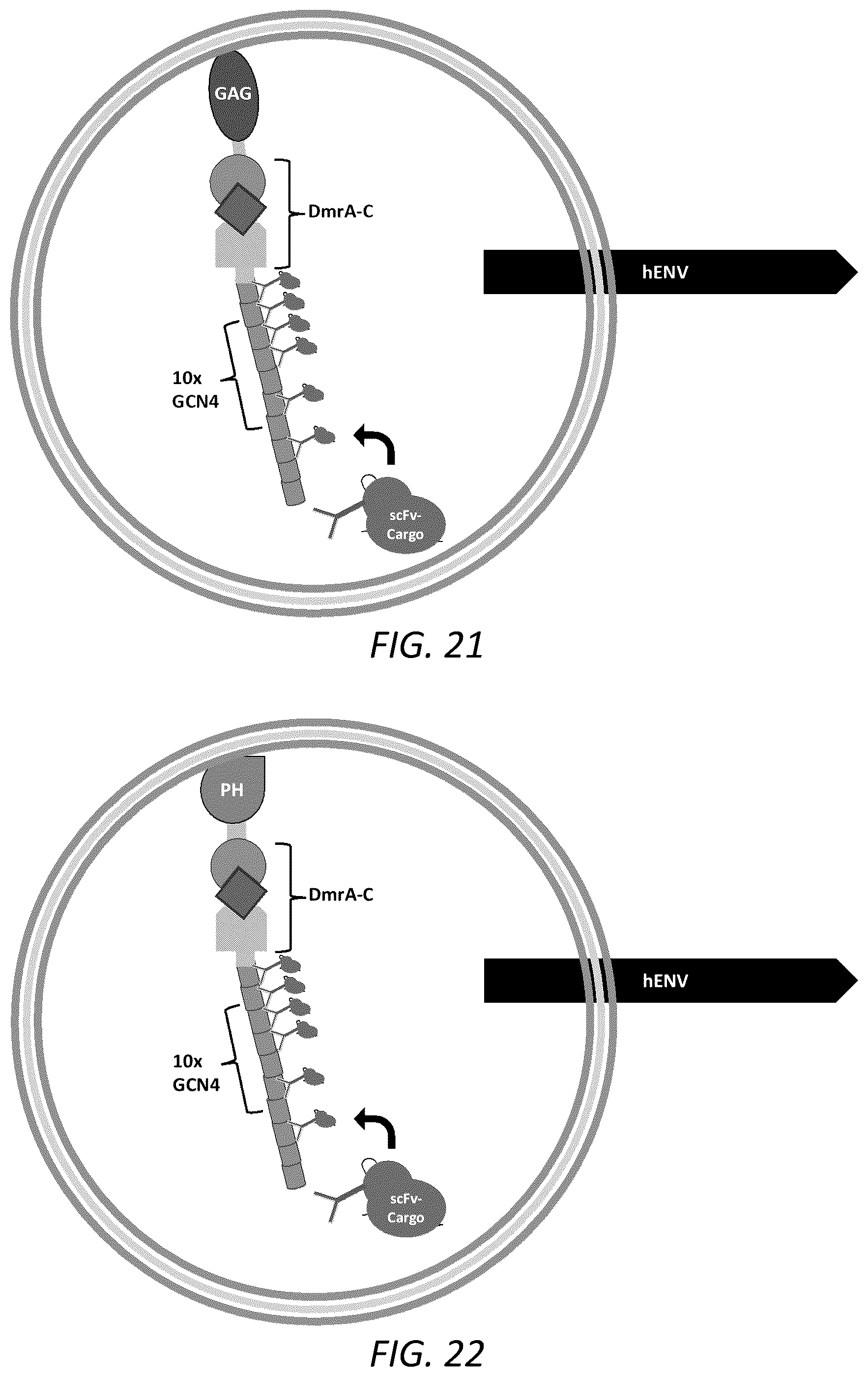 Patent US12351814 Figure 13 – Engineered human-endogenous virus-like particles and methods of use thereof for delivery to cells