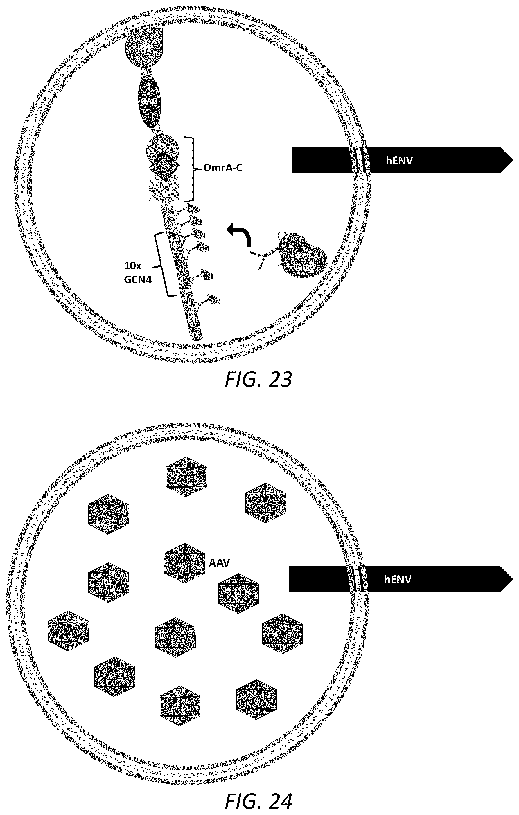 Patent US12351814 Figure 14 – Engineered human-endogenous virus-like particles and methods of use thereof for delivery to cells