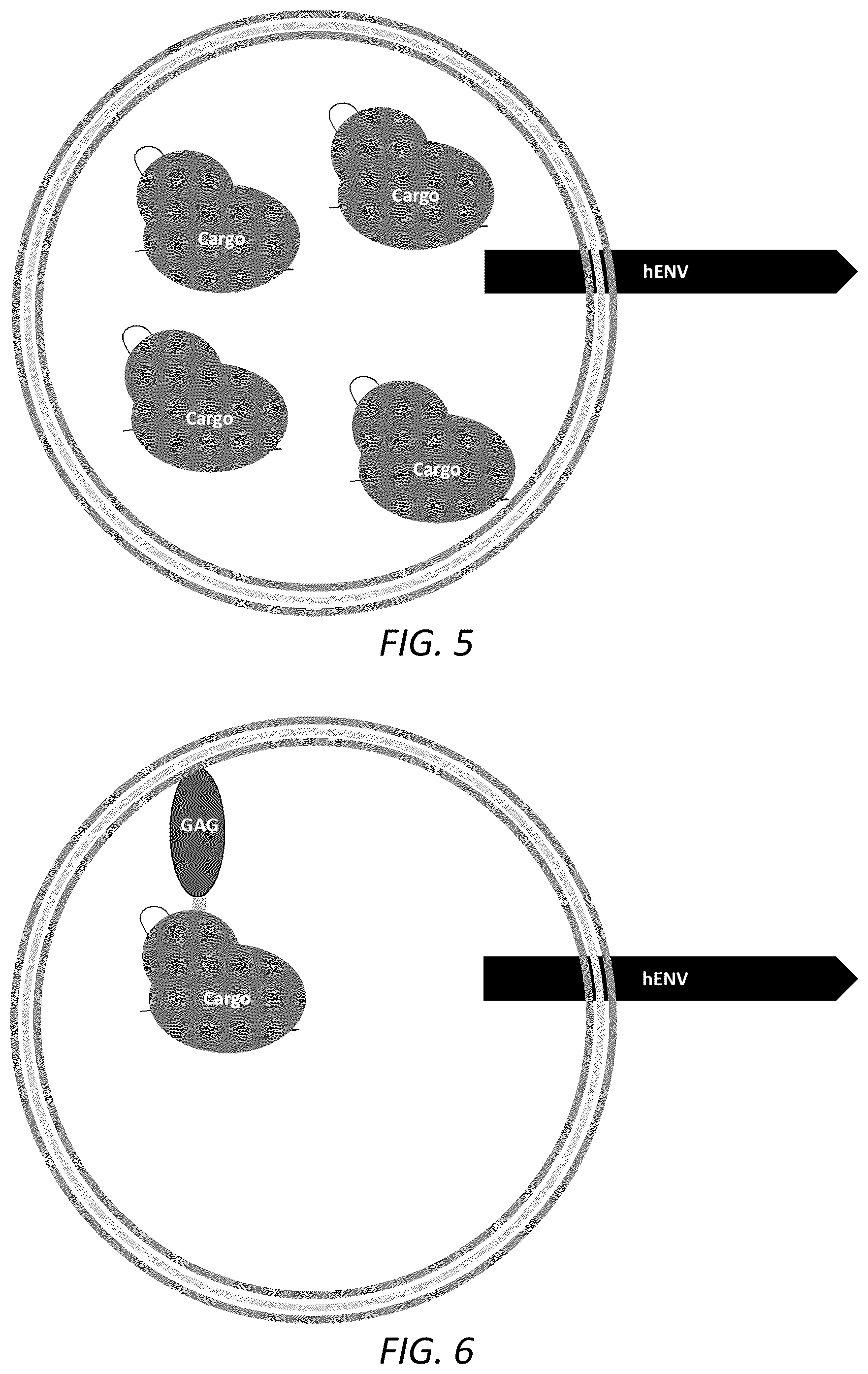 Patent US12351815 Figure 5 – Engineered human-endogenous virus-like particles and methods of use thereof for delivery to cells
