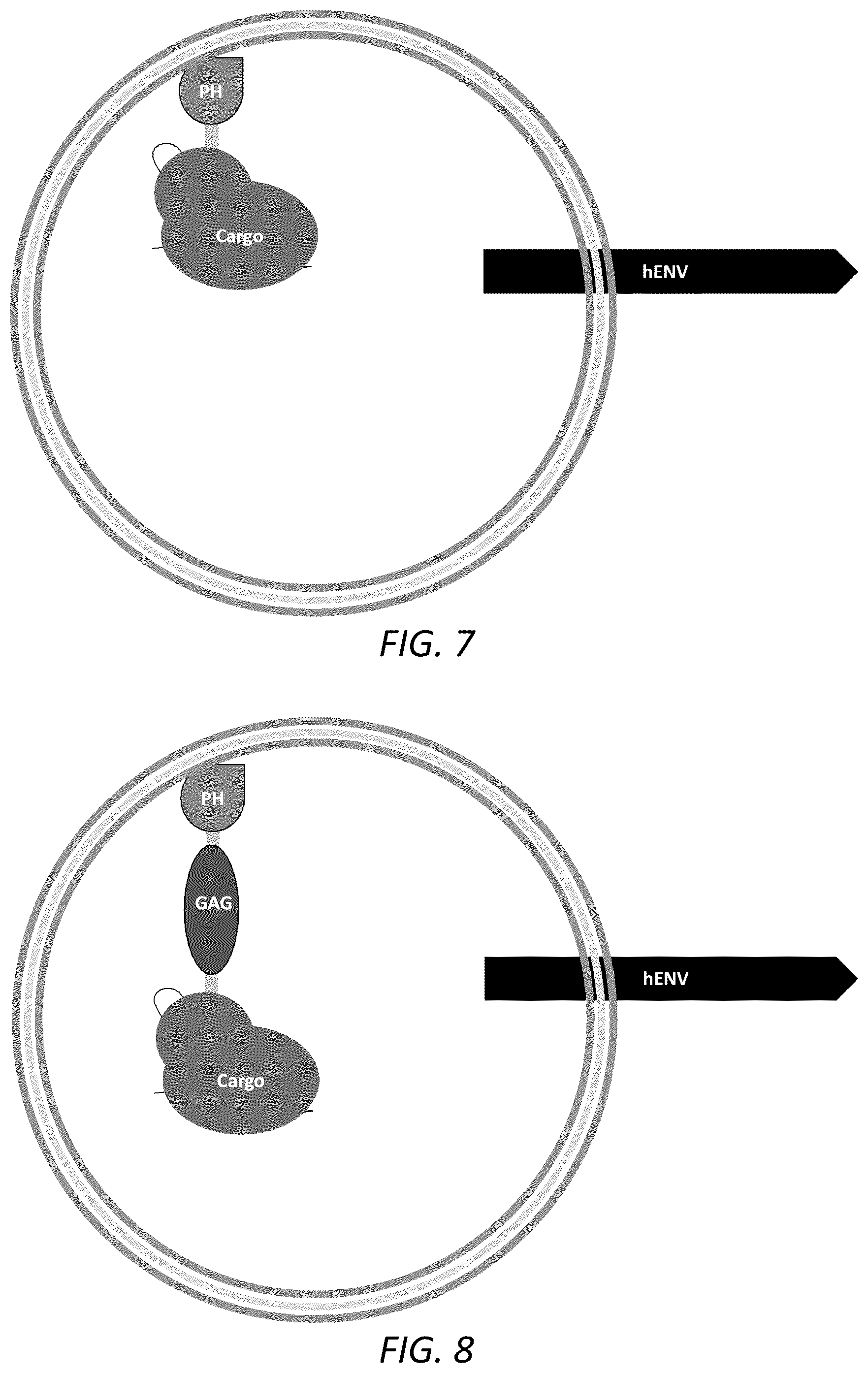 Patent US12351815 Figure 6 – Engineered human-endogenous virus-like particles and methods of use thereof for delivery to cells