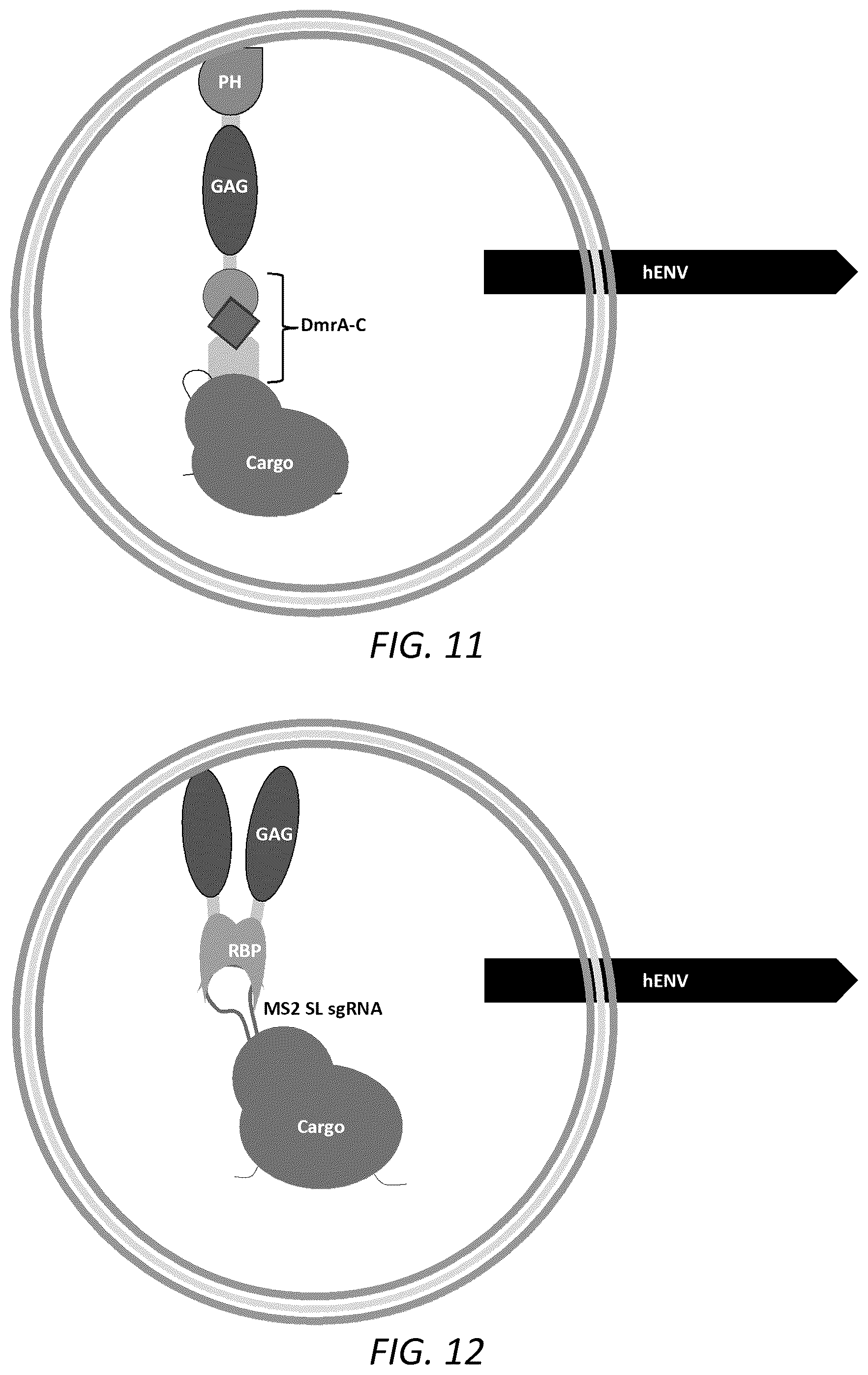 Patent US12351815 Figure 8 – Engineered human-endogenous virus-like particles and methods of use thereof for delivery to cells
