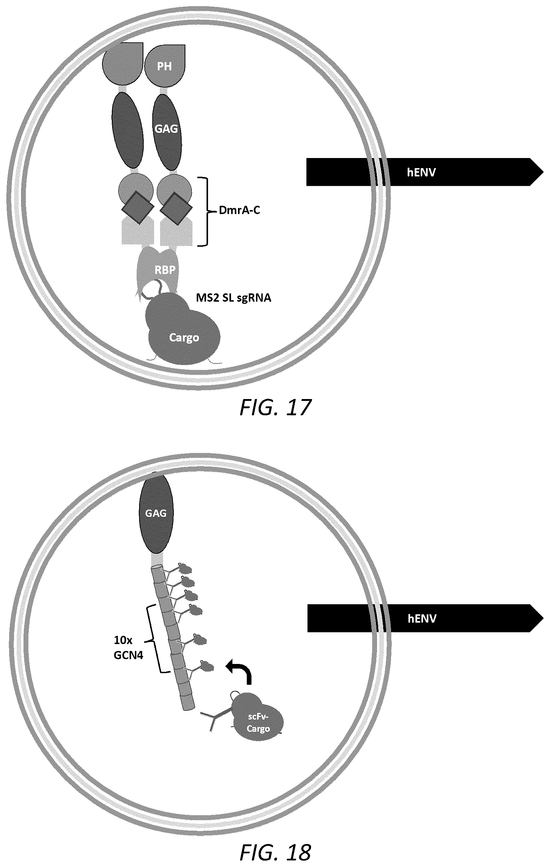 Patent US12351815 Figure 11 – Engineered human-endogenous virus-like particles and methods of use thereof for delivery to cells