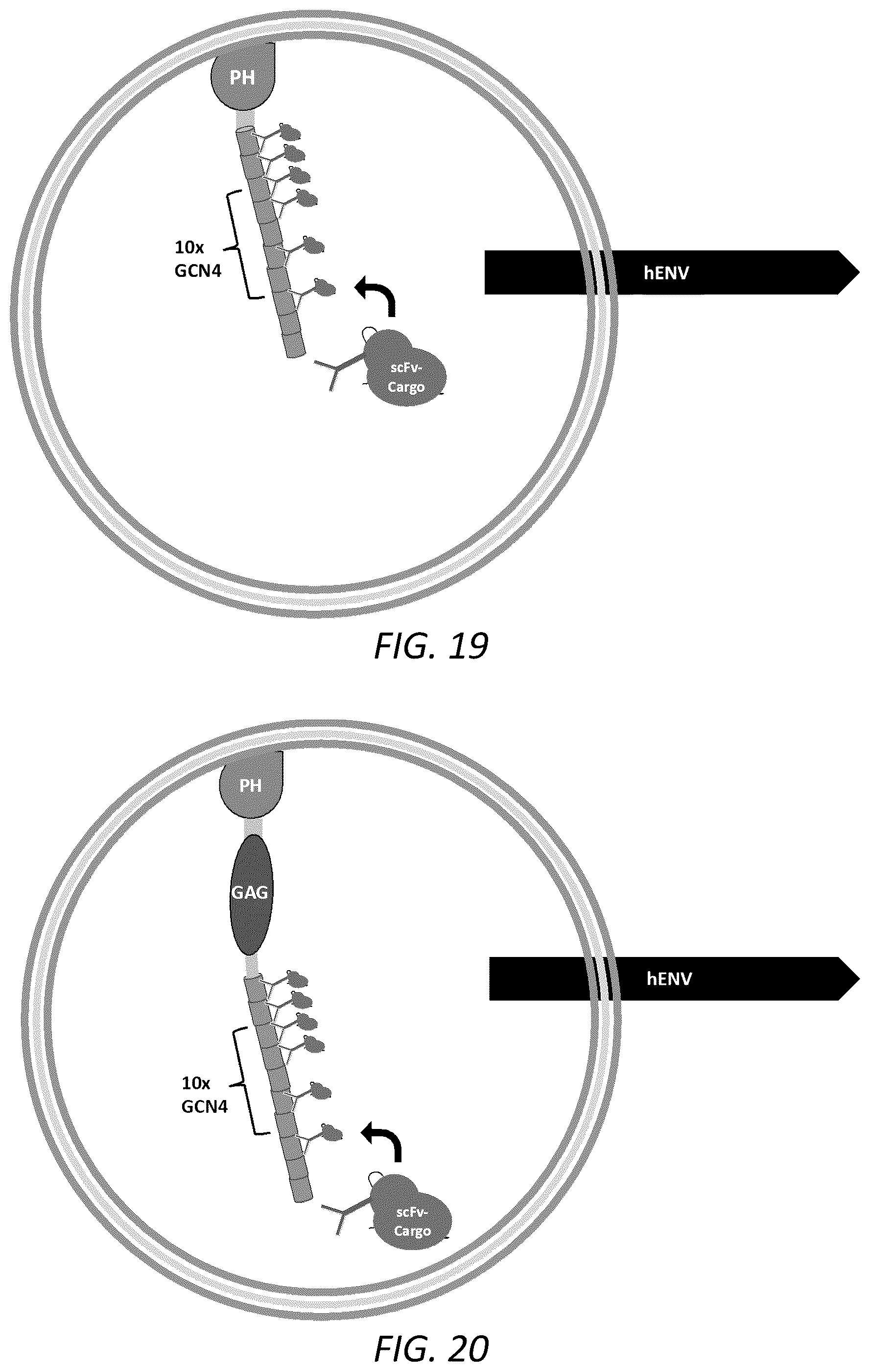 Patent US12351815 Figure 12 – Engineered human-endogenous virus-like particles and methods of use thereof for delivery to cells
