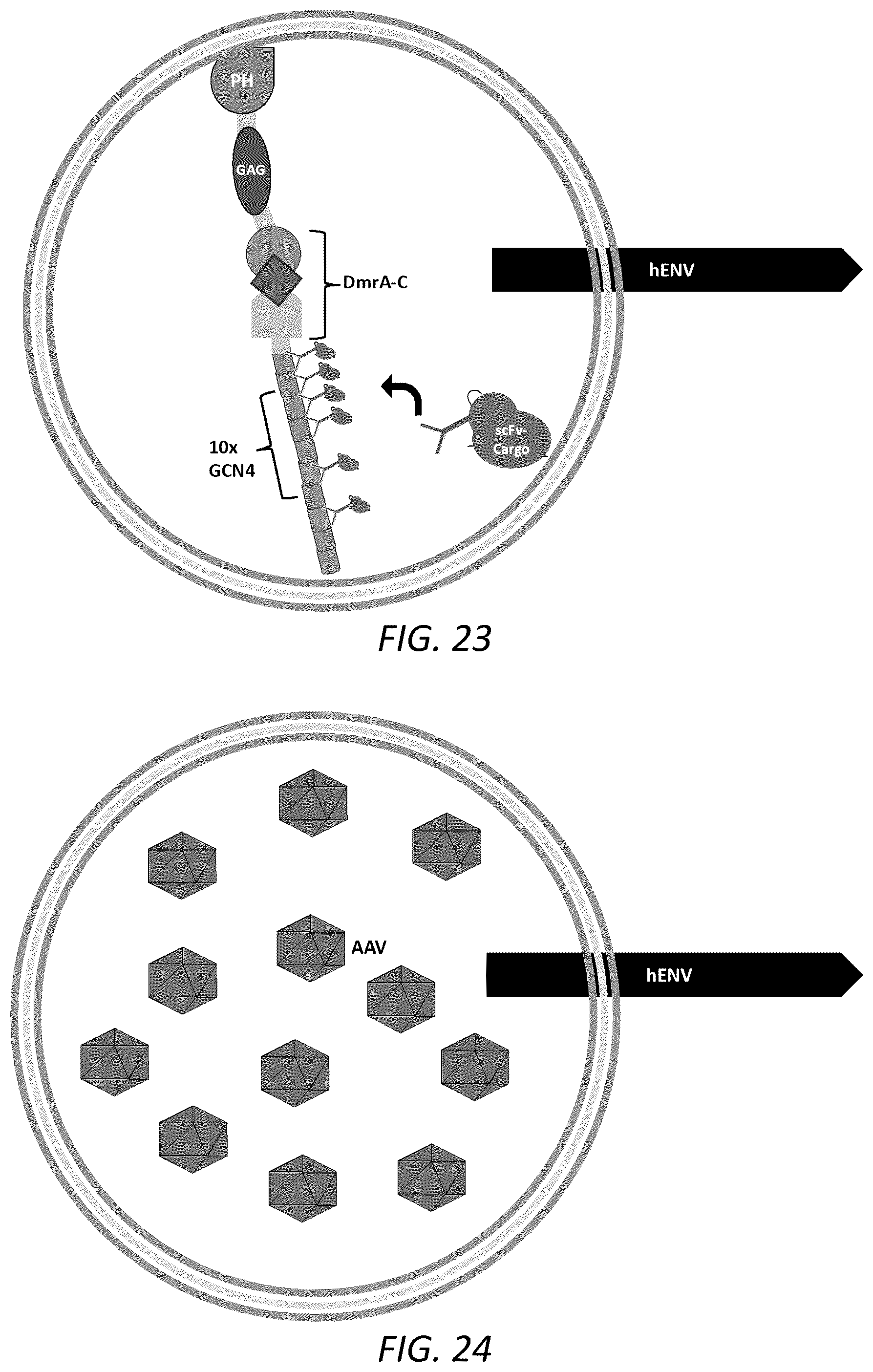 Patent US12351815 Figure 14 – Engineered human-endogenous virus-like particles and methods of use thereof for delivery to cells