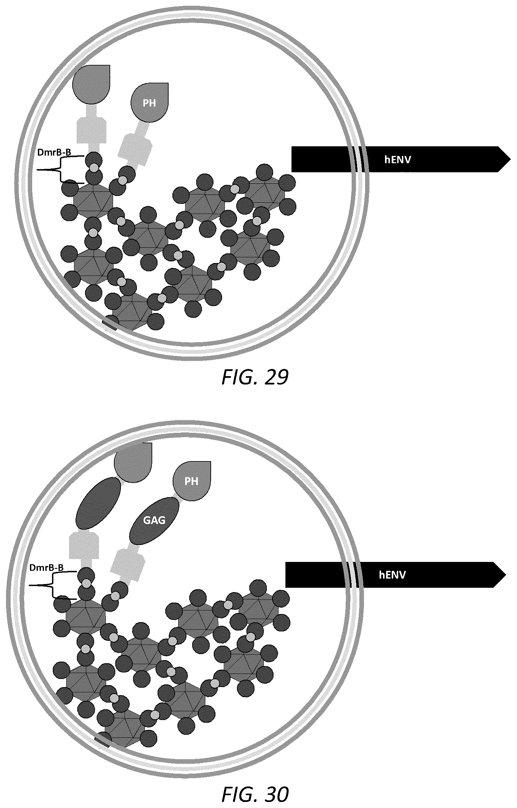 Patent US12351815 Figure 17 – Engineered human-endogenous virus-like particles and methods of use thereof for delivery to cells