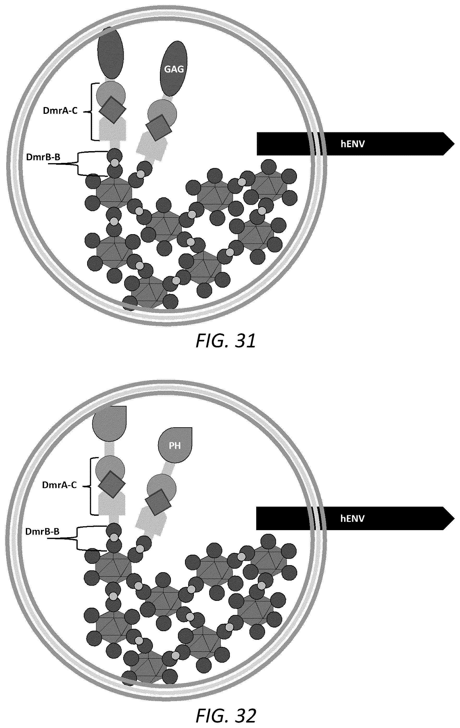 Patent US12351815 Figure 18 – Engineered human-endogenous virus-like particles and methods of use thereof for delivery to cells