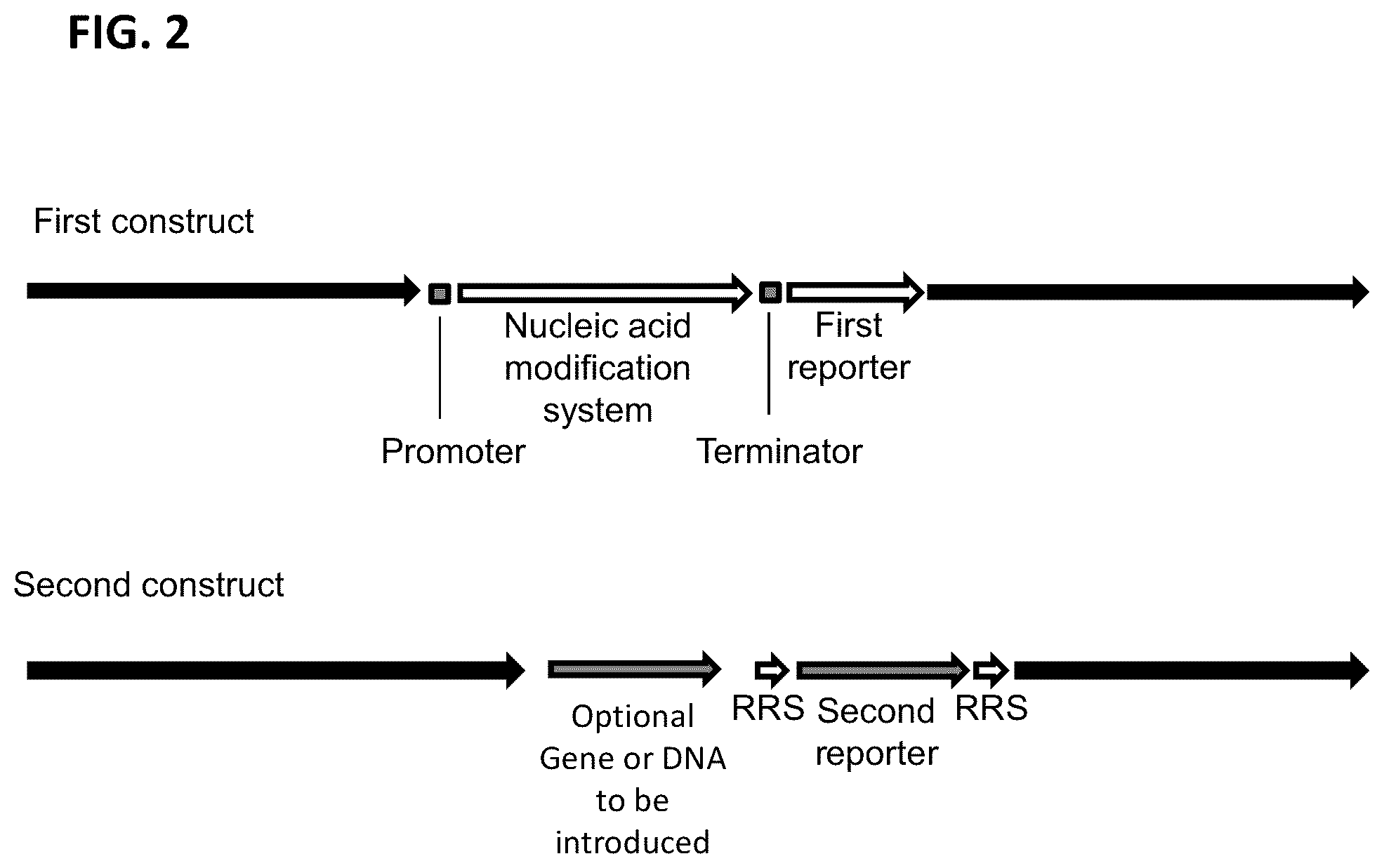 Patent US12351817 Figure 2 – Systems and methods for genetic engineering of a polyploid organism