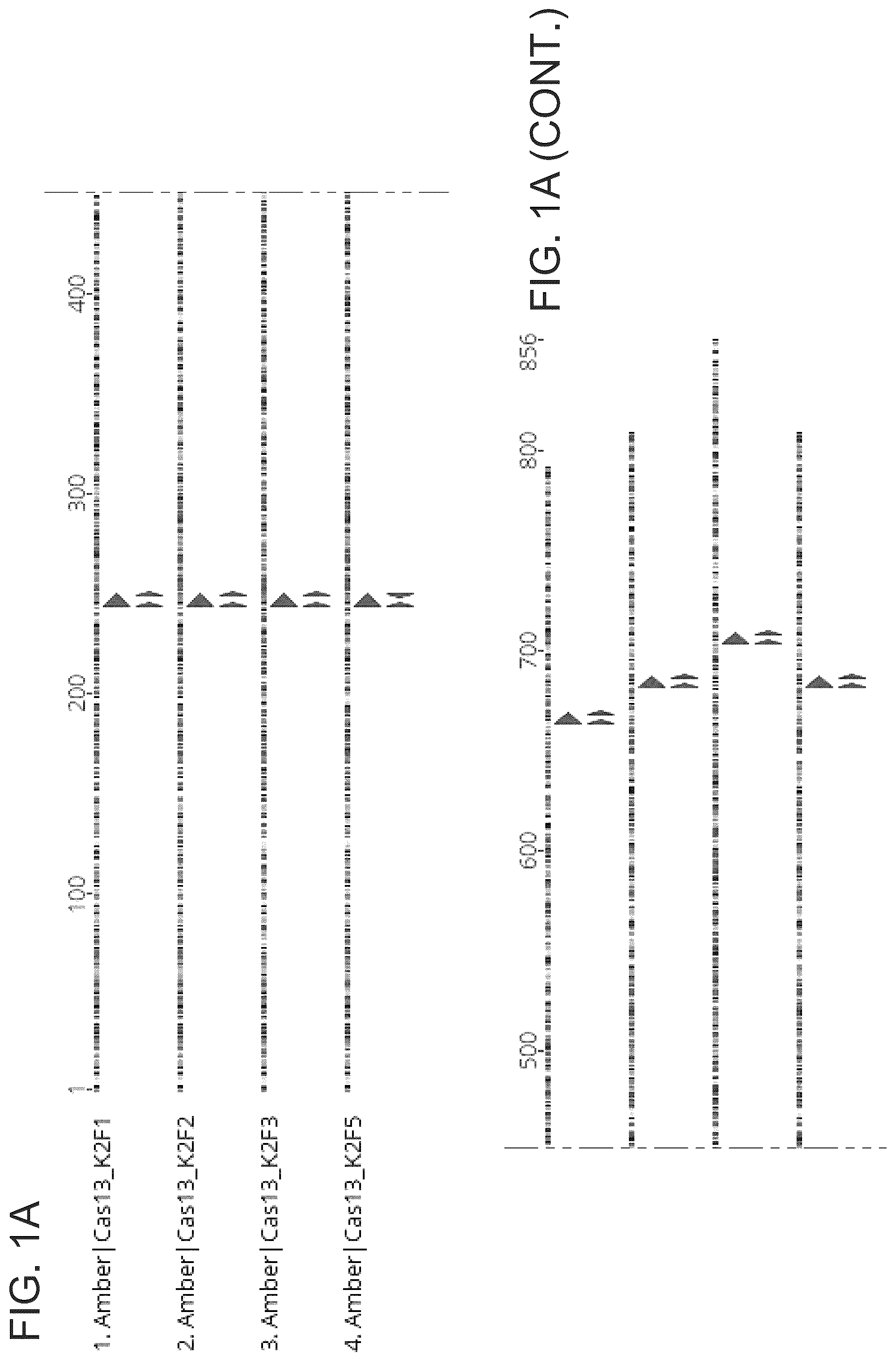 Patent US12351818 — Gene-modifying endonucleases — Figure 1
