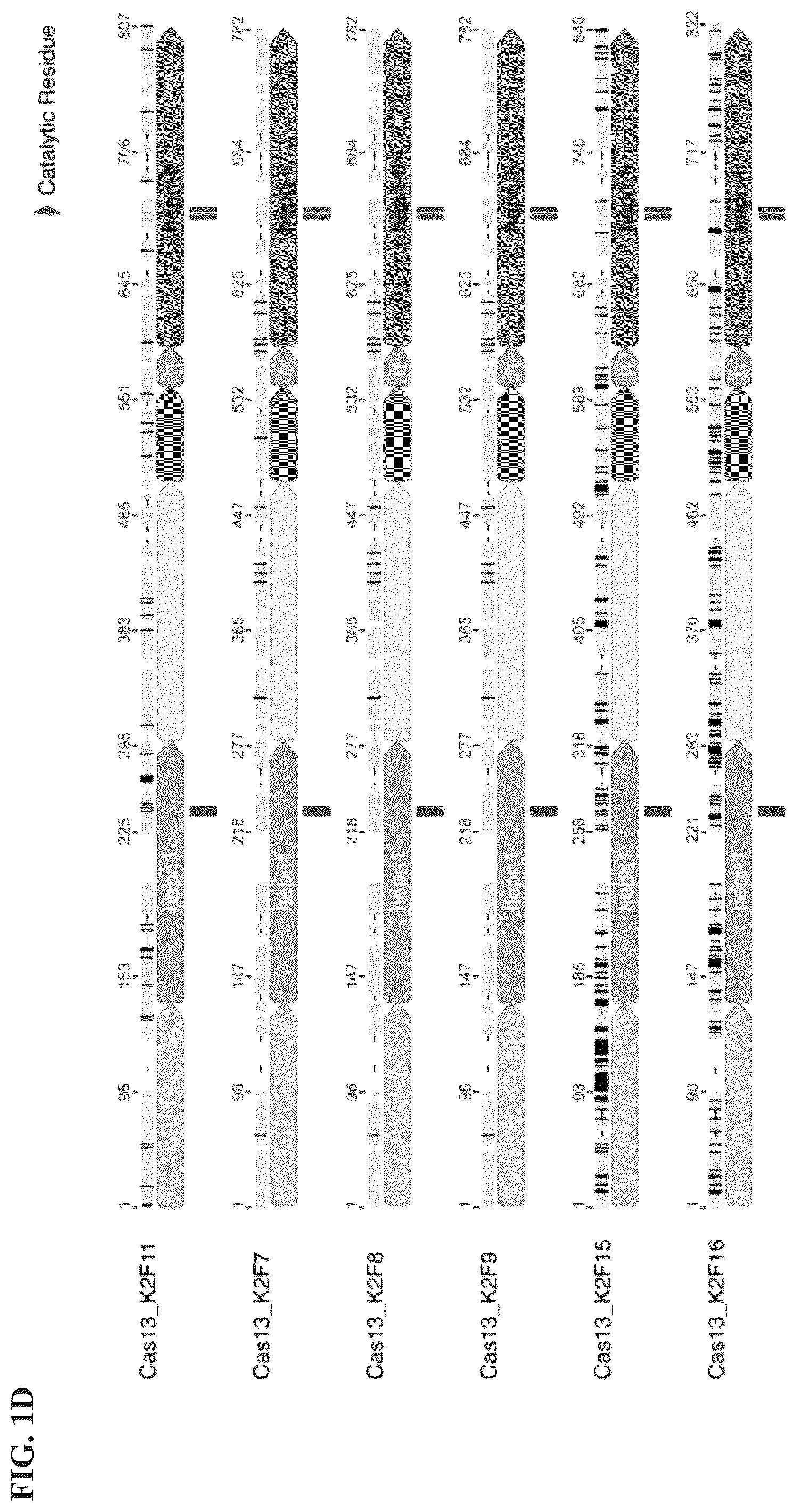 Patent US12351818 Figure 4 – Gene-modifying endonucleases