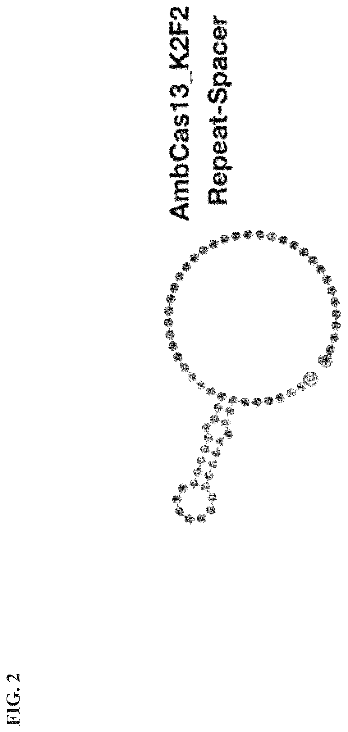 Patent US12351818 Figure 5 – Gene-modifying endonucleases