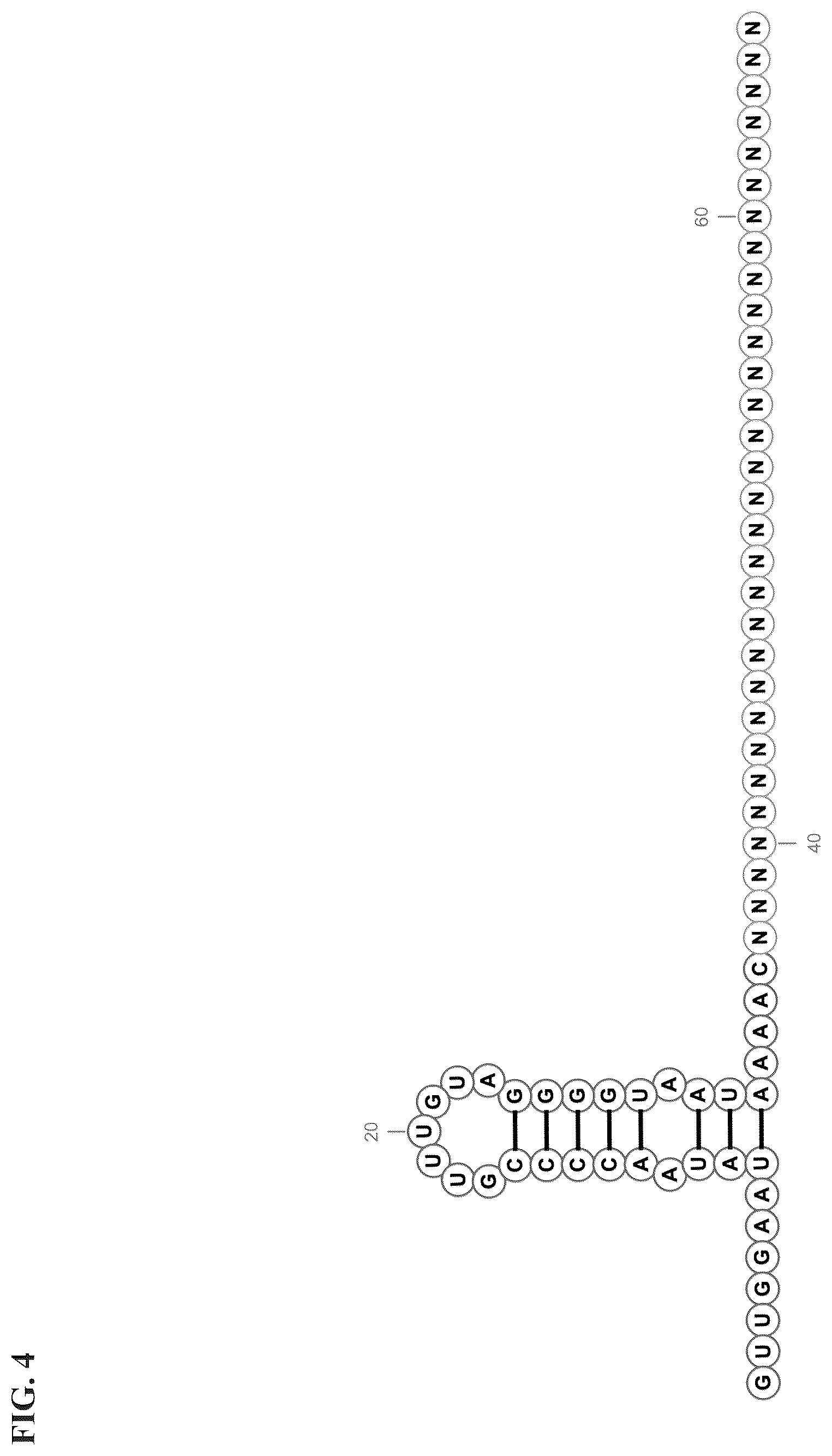 Patent US12351818 Figure 7 – Gene-modifying endonucleases