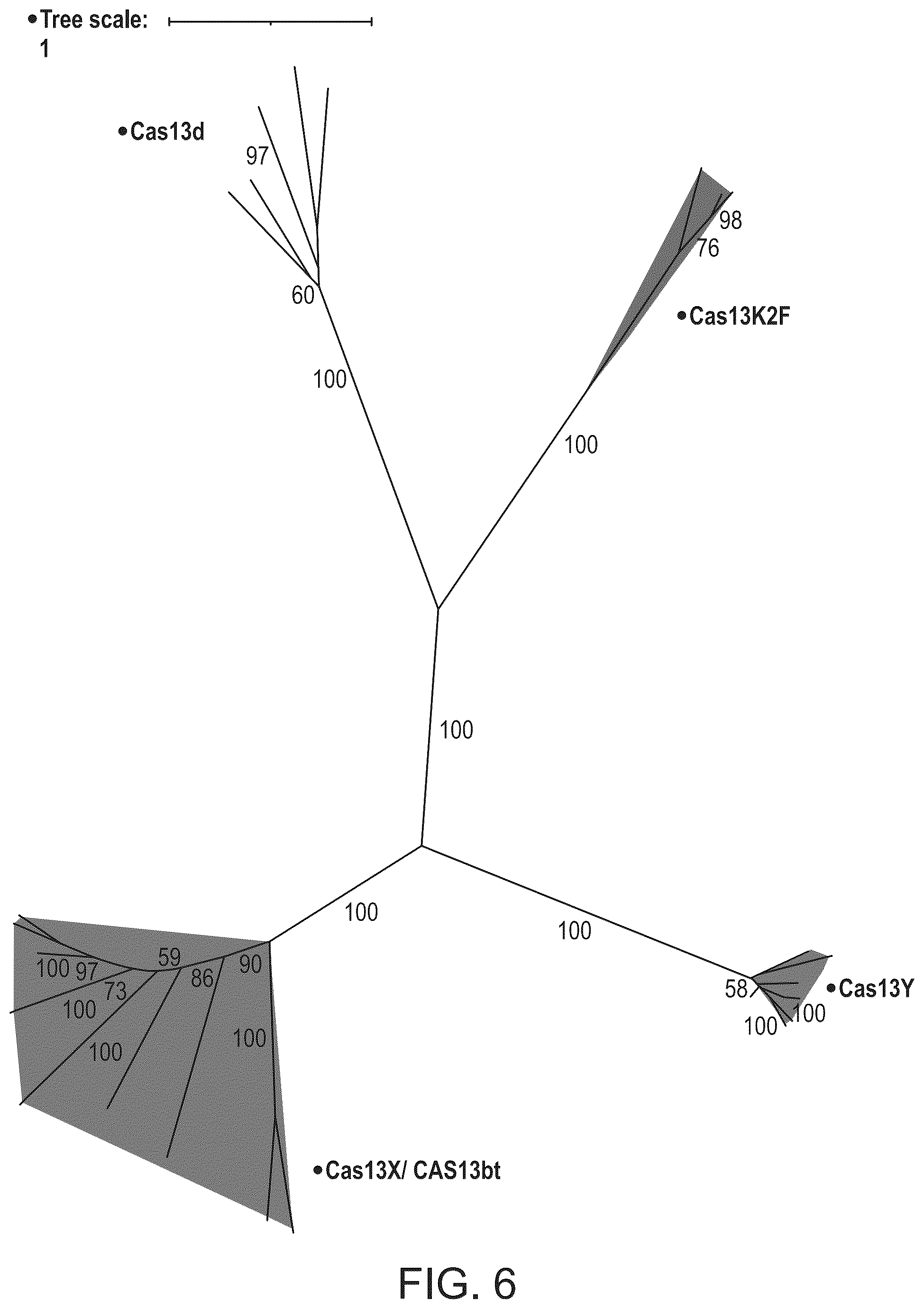 Patent US12351818 Figure 11 – Gene-modifying endonucleases