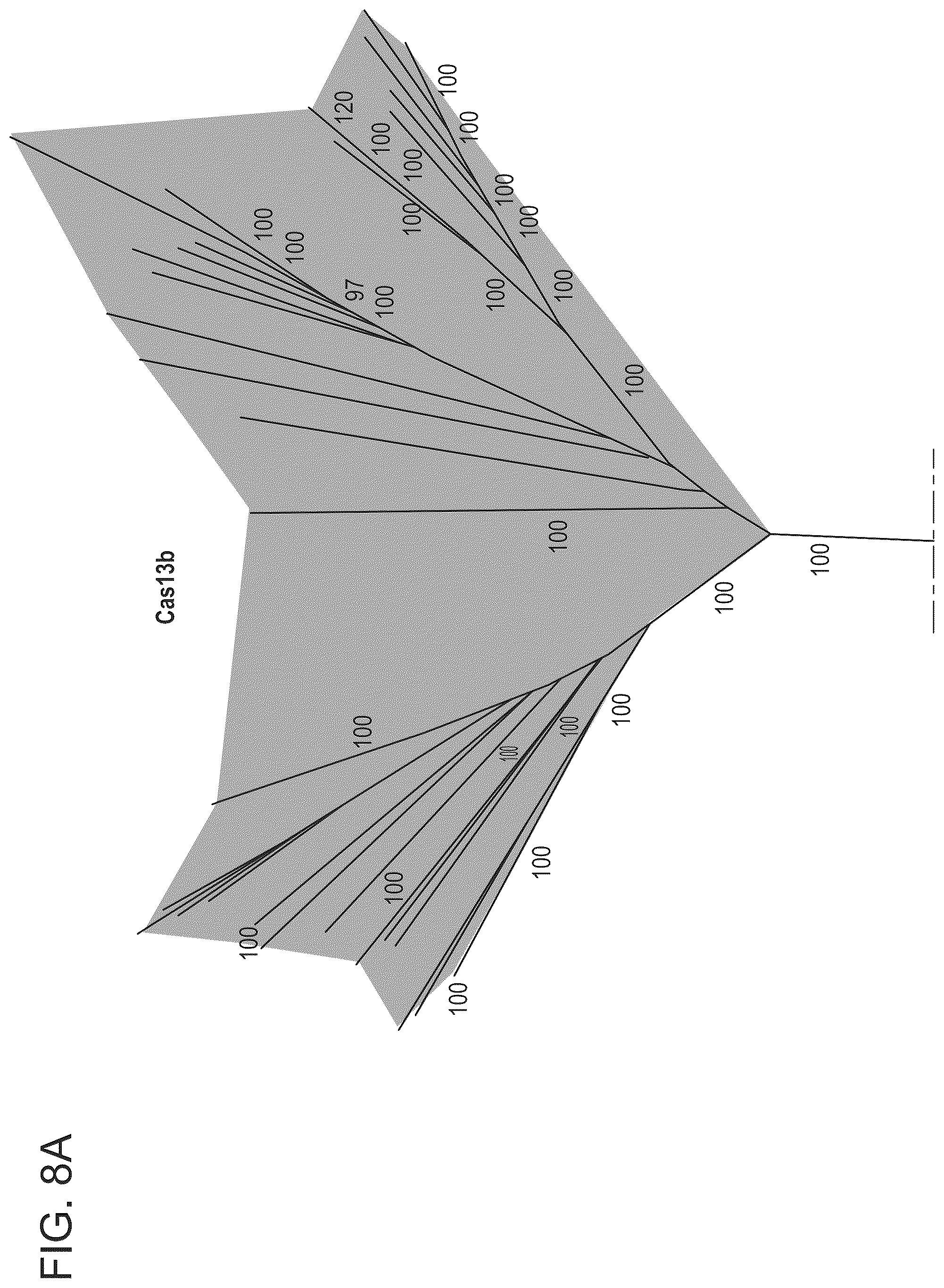 Patent US12351818 Figure 15 – Gene-modifying endonucleases