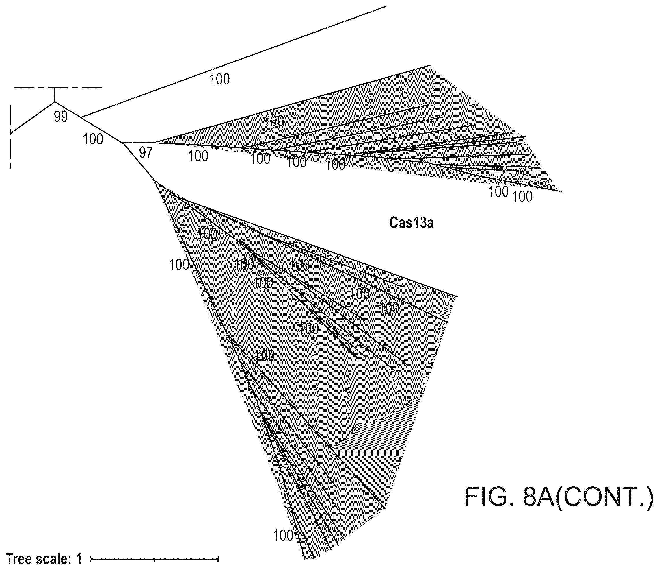 Patent US12351818 Figure 17 – Gene-modifying endonucleases