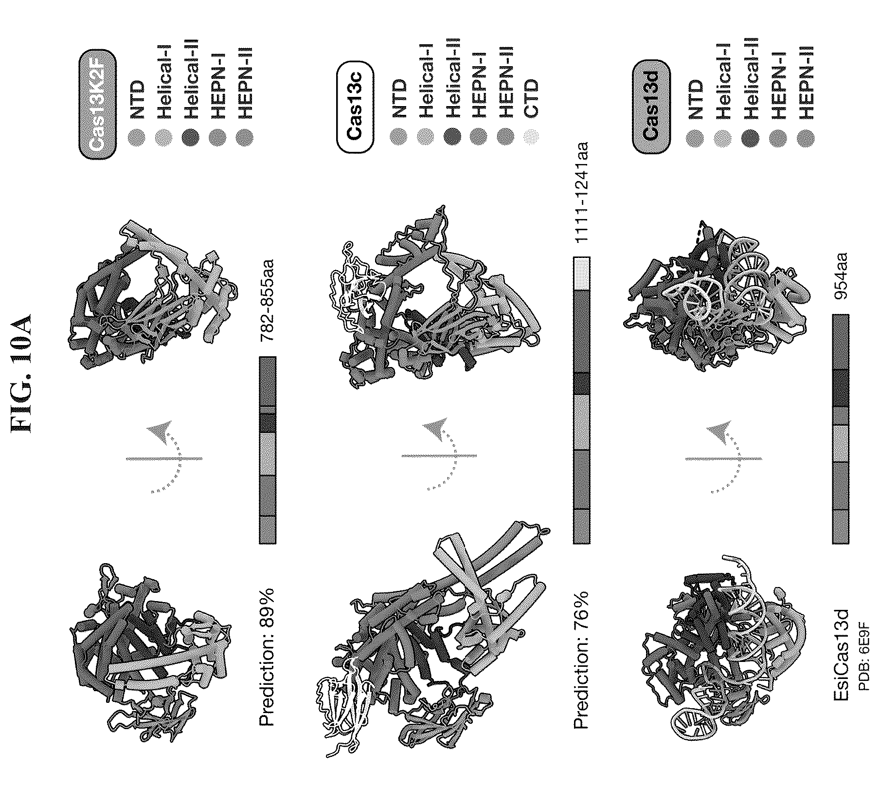 Patent US12351818 Figure 20 – Gene-modifying endonucleases