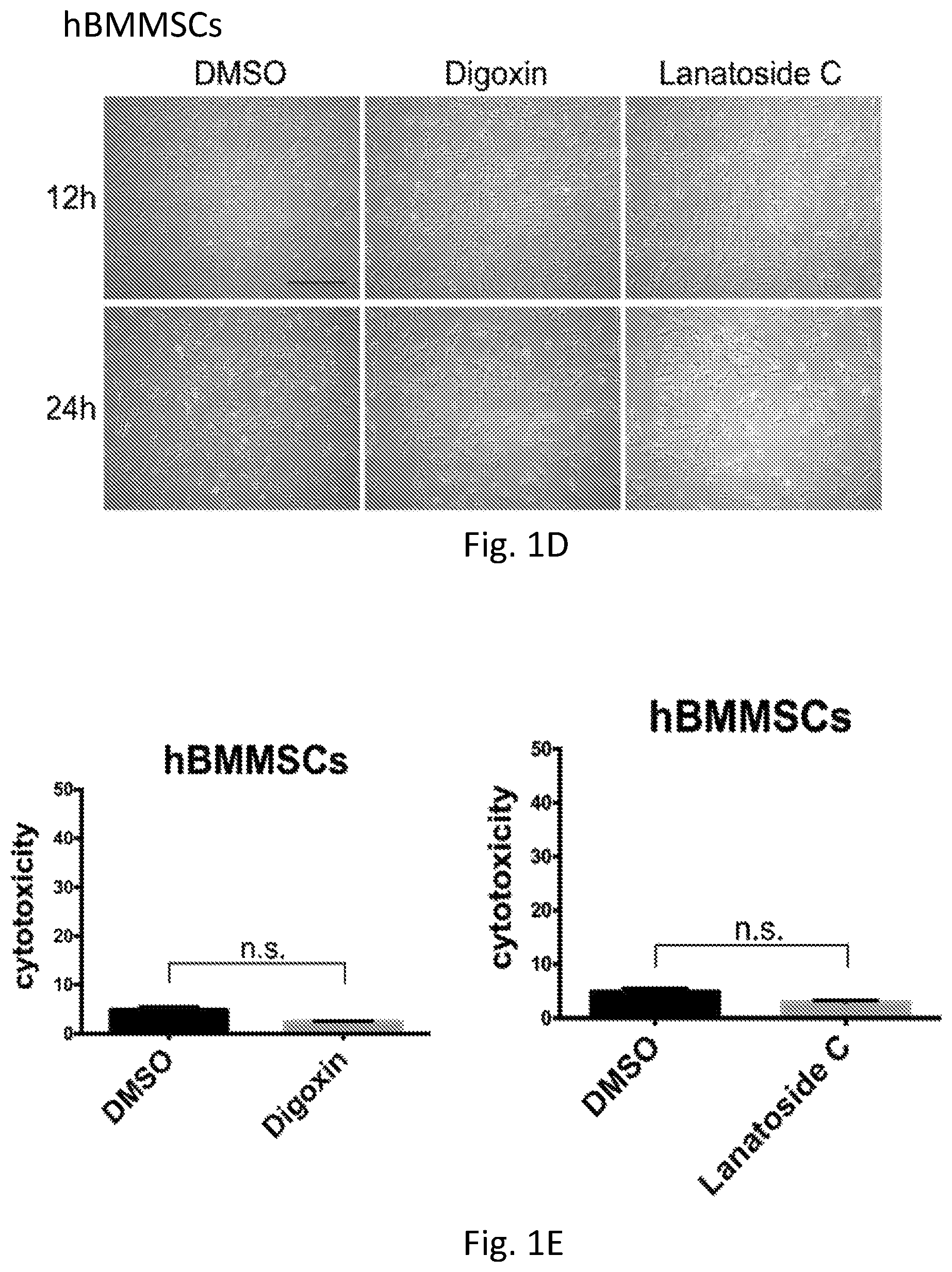 Patent US12351819 Figure 3 – Method for removing undifferentiated pluripotent stem cells