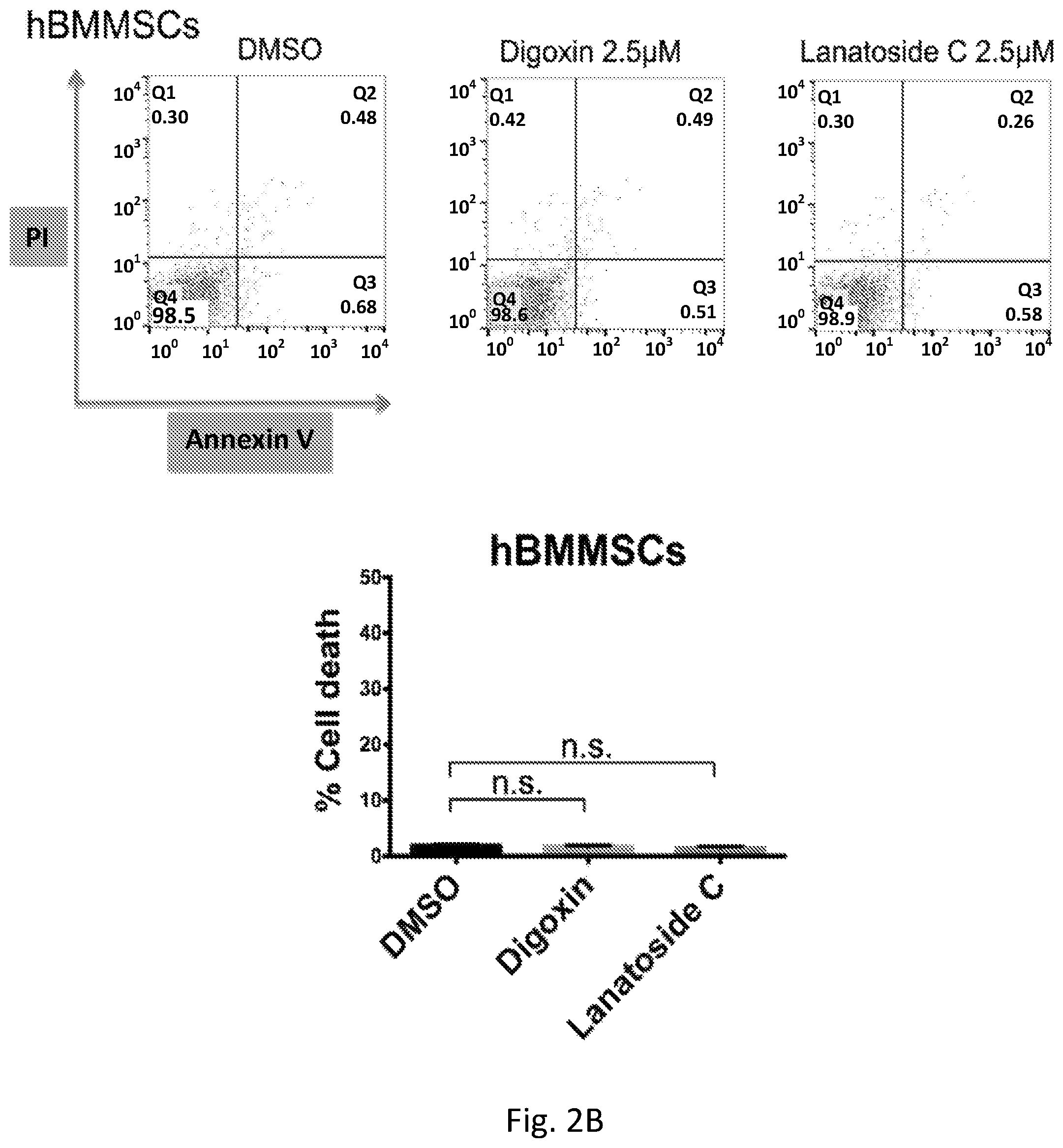 Patent US12351819 Figure 5 – Method for removing undifferentiated pluripotent stem cells