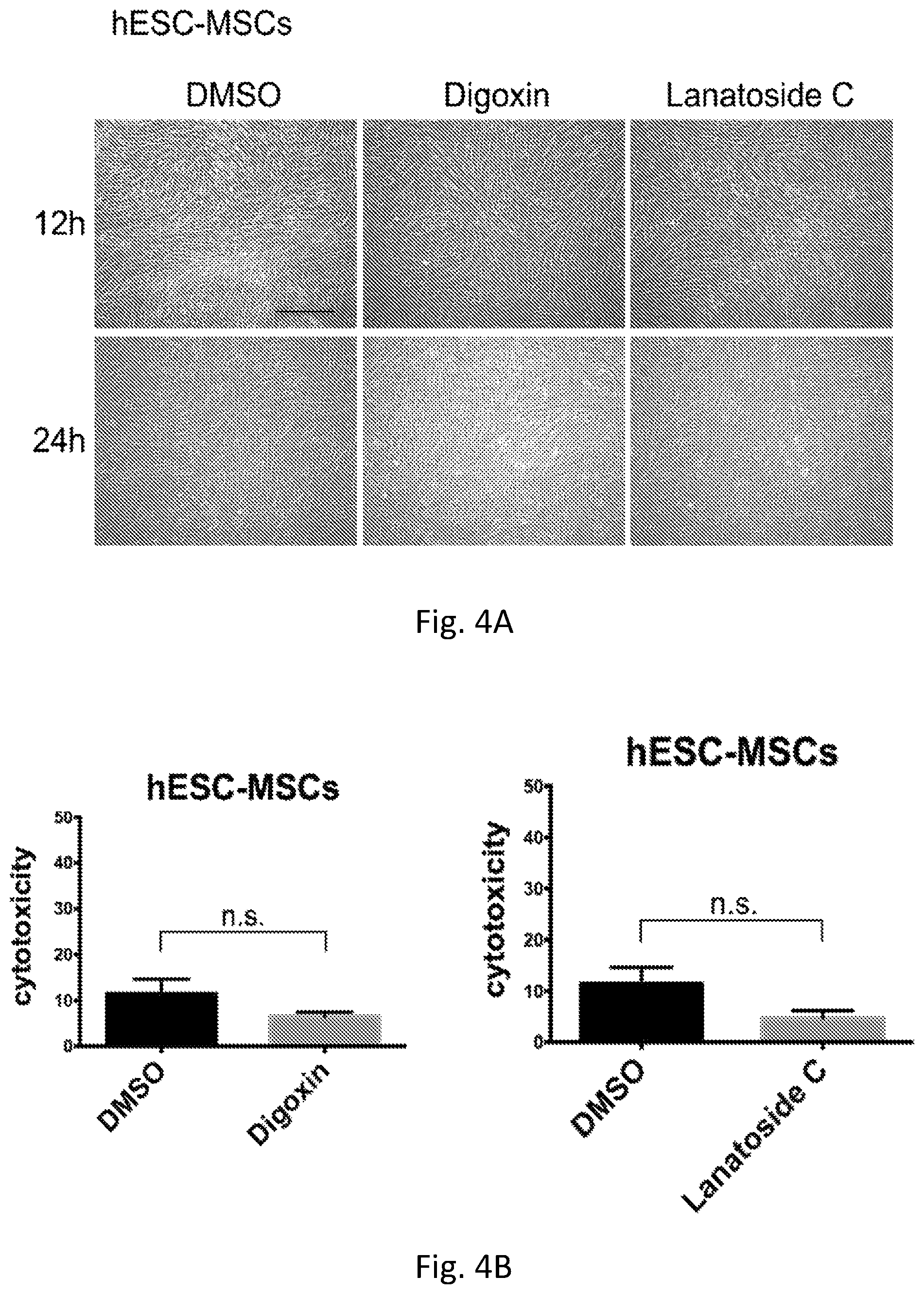 Patent US12351819 Figure 10 – Method for removing undifferentiated pluripotent stem cells