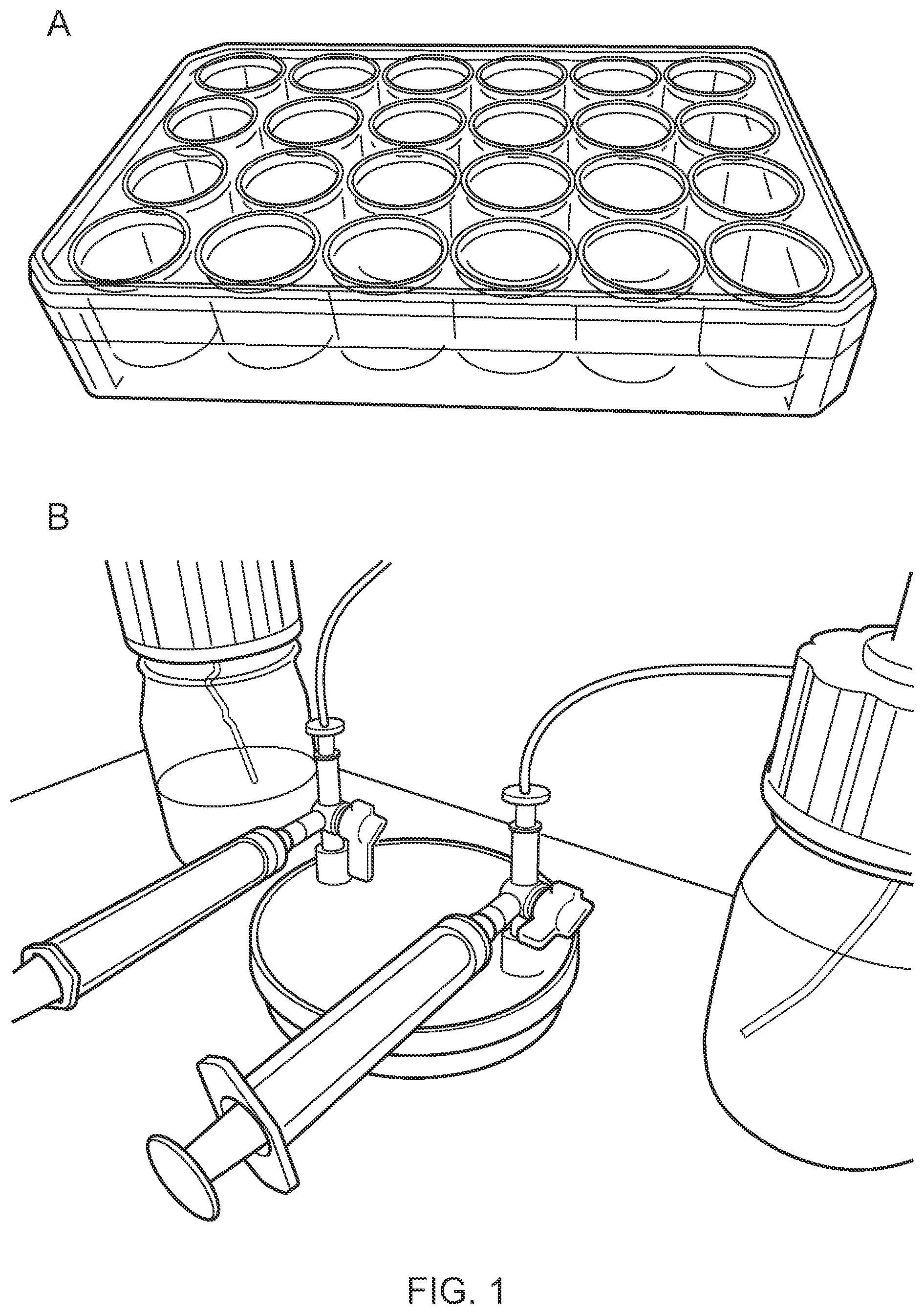 Patent US12351820 Figure 1 – Methods for culturing organoids