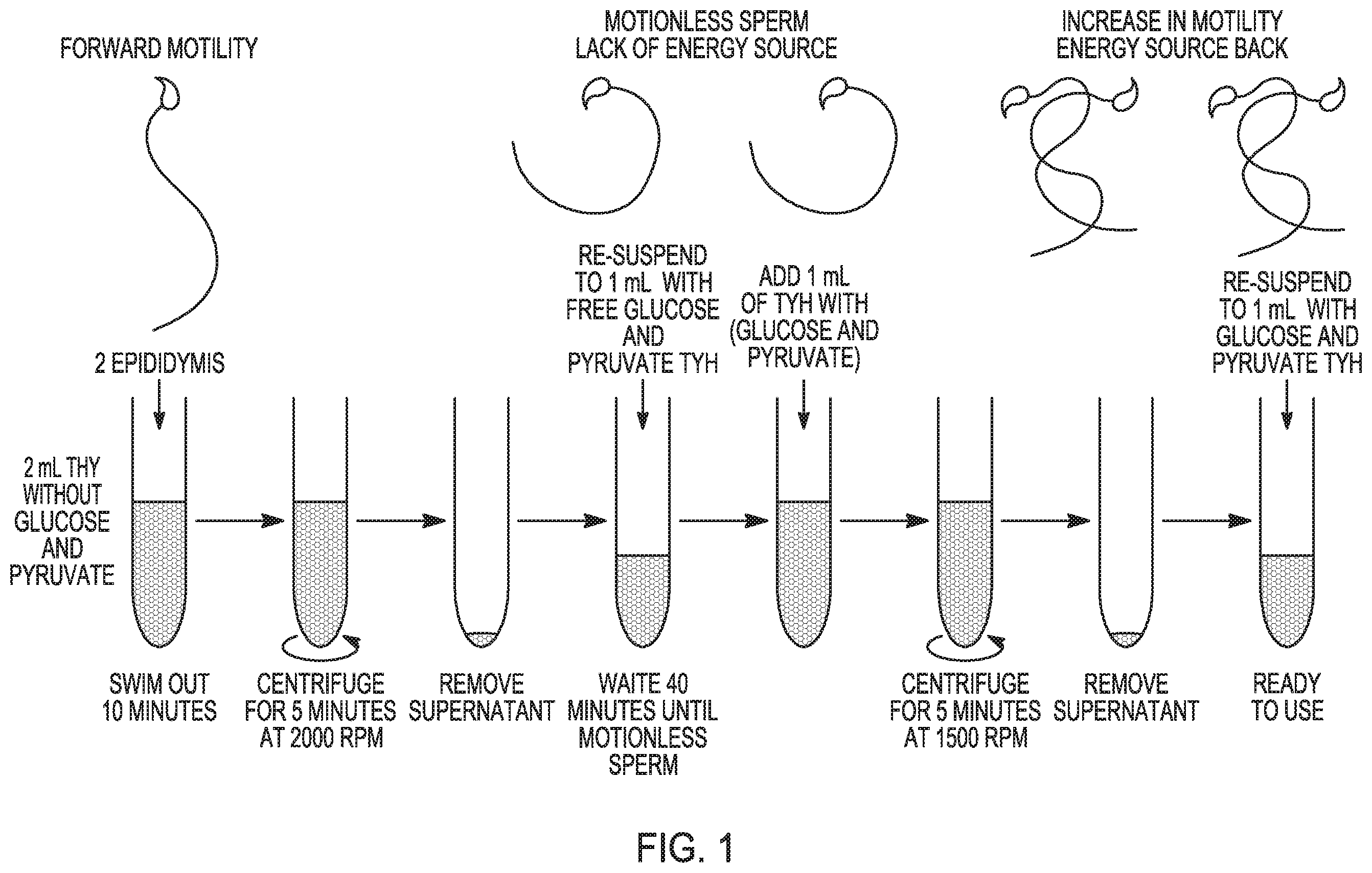 Patent US12351821 — Method to prepare sperm — Figure 1