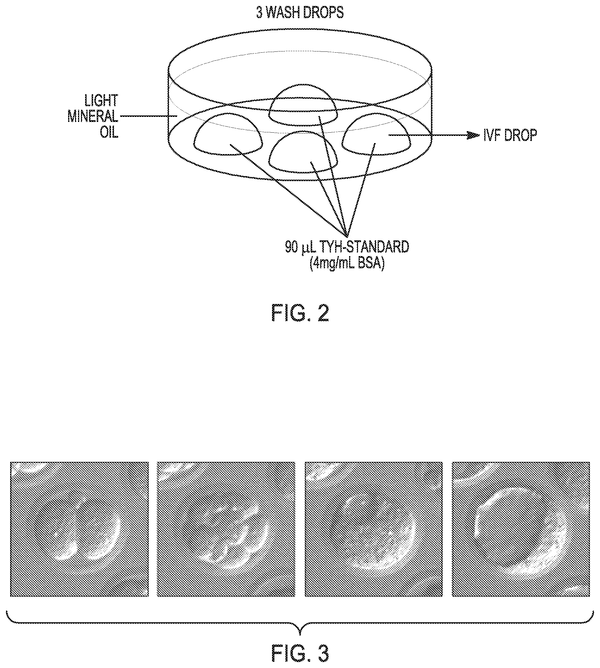Patent US12351821 Figure 2 – Method to prepare sperm