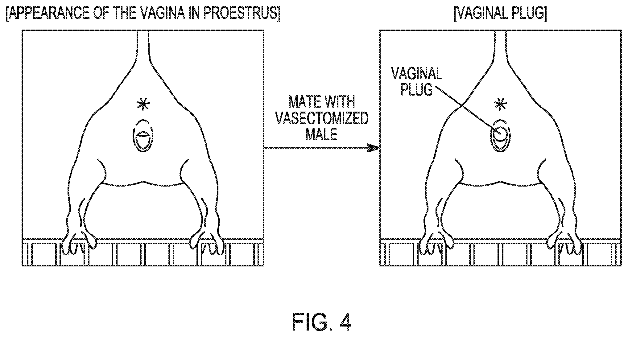 Patent US12351821 Figure 3 – Method to prepare sperm
