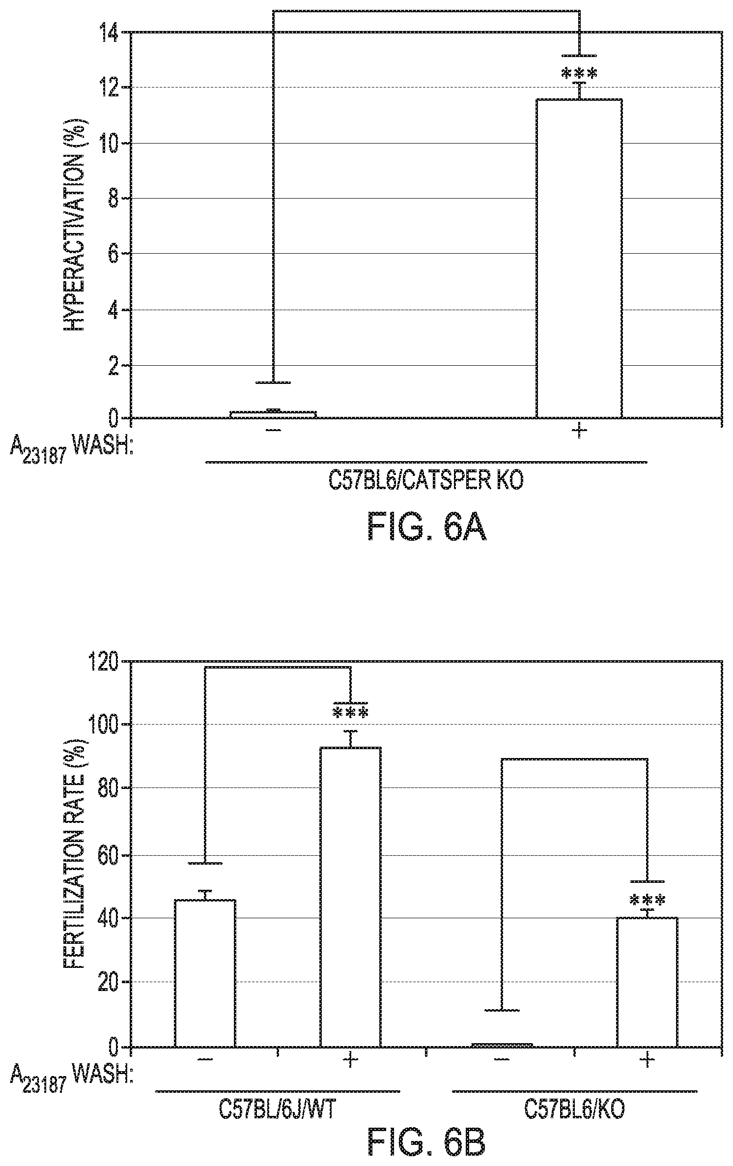 Patent US12351821 Figure 6 – Method to prepare sperm