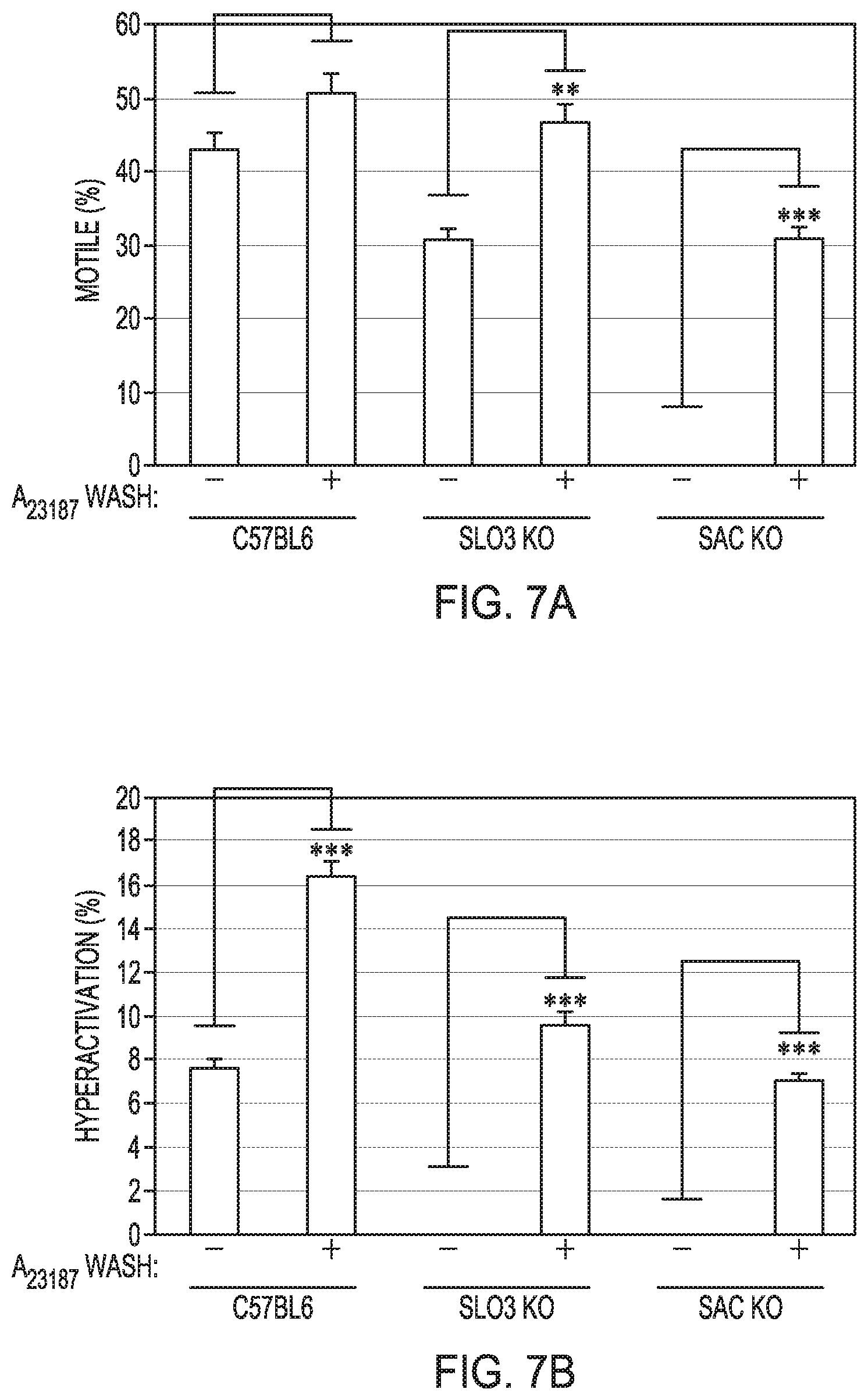 Patent US12351821 Figure 8 – Method to prepare sperm