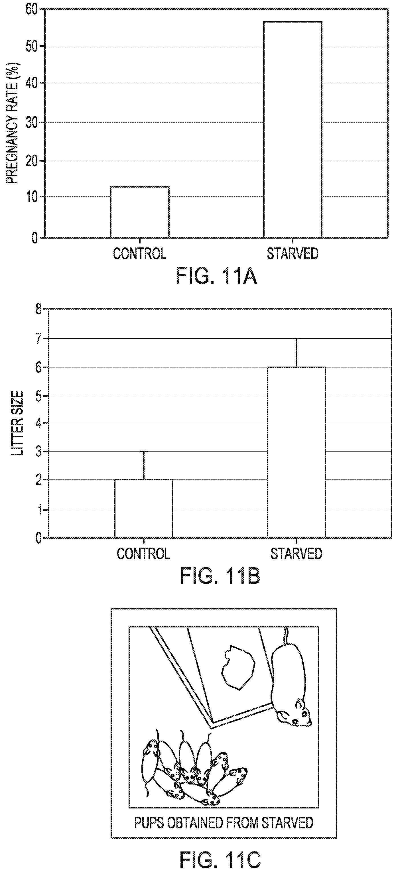 Patent US12351821 Figure 17 – Method to prepare sperm