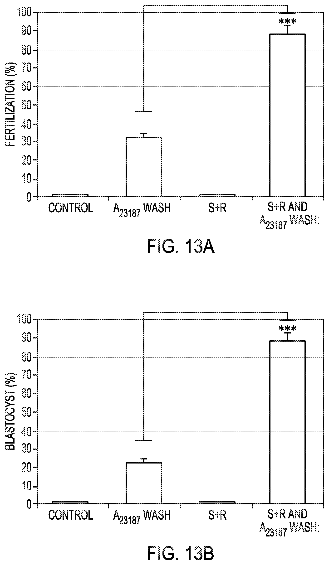 Patent US12351821 Figure 19 – Method to prepare sperm