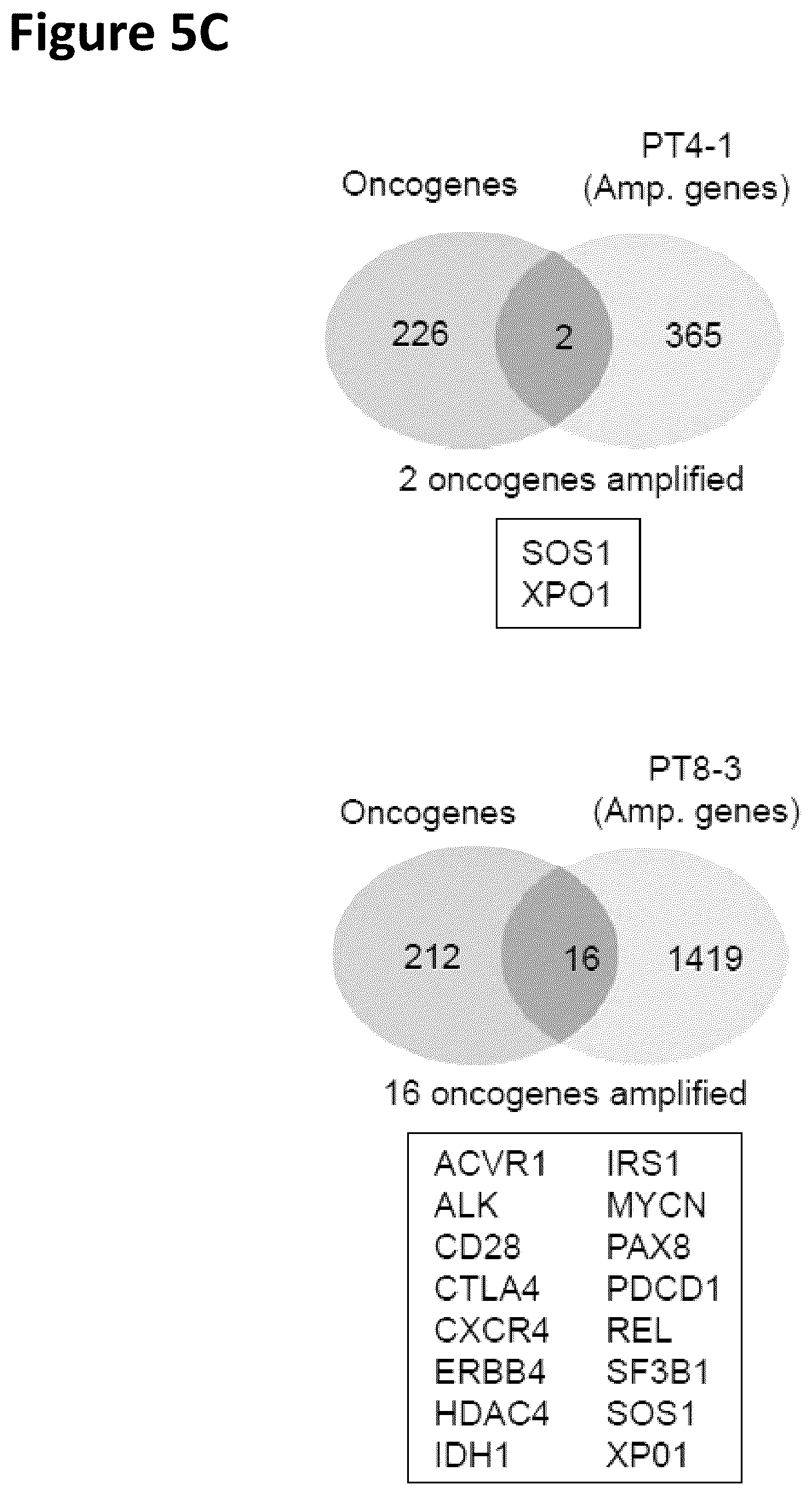 Patent US12351822 Figure 7 – Stem cell culture systems for columnar epithelial stem cells, and uses related thereto