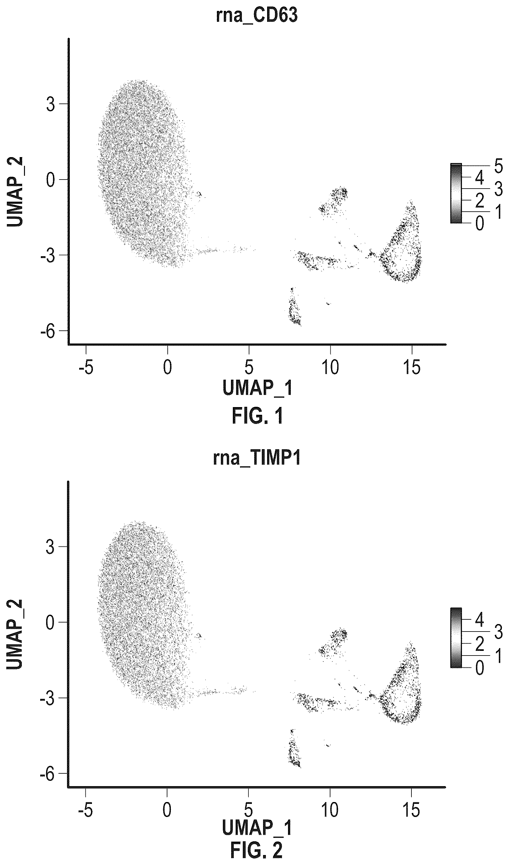 Patent US12351823 — Mammalian cell population and medicaments for cell therapies in equines and improved cell cultivation methods — Figure 1